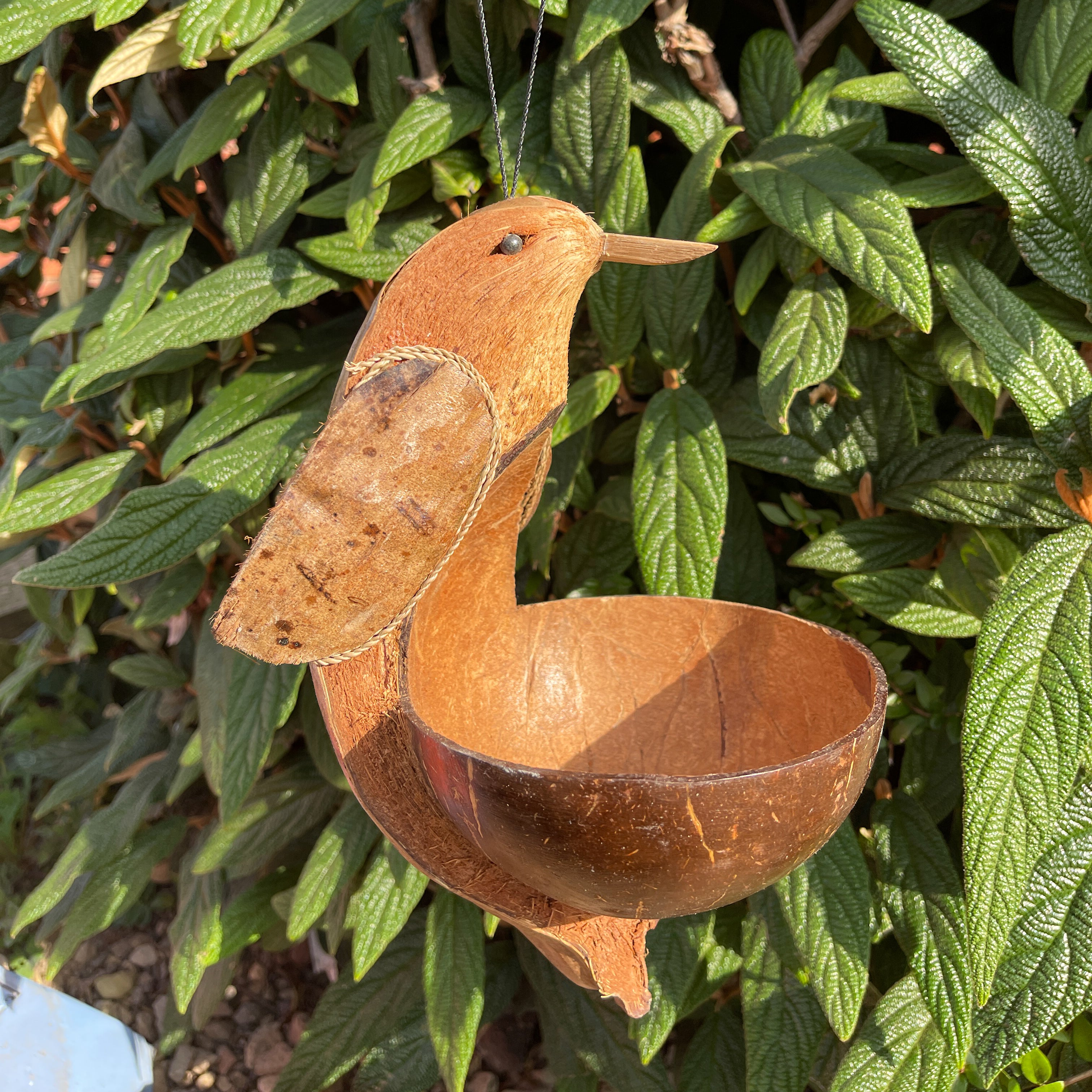 Coconut Bird Feeder - Bird