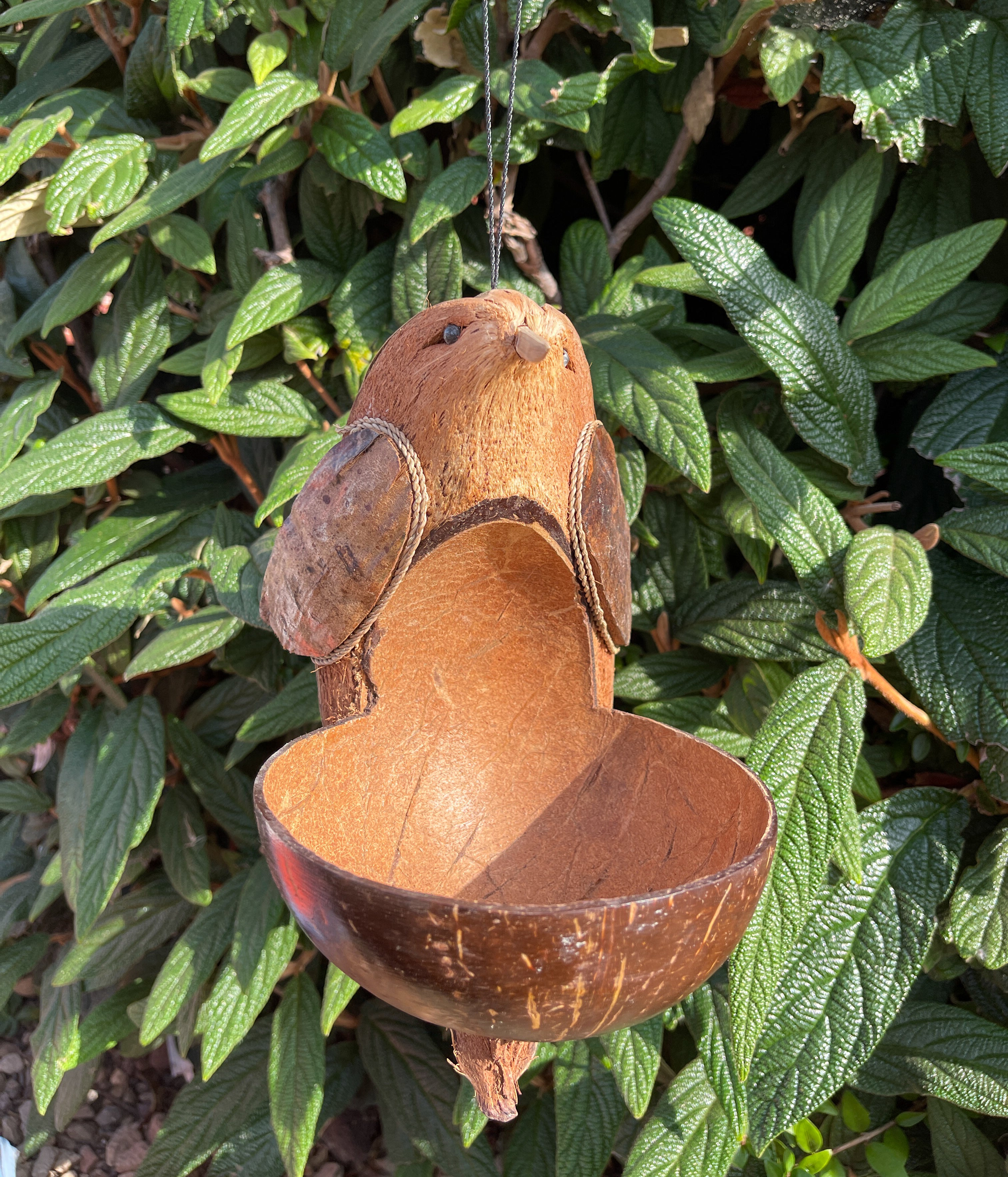 Coconut Bird Feeder - Bird