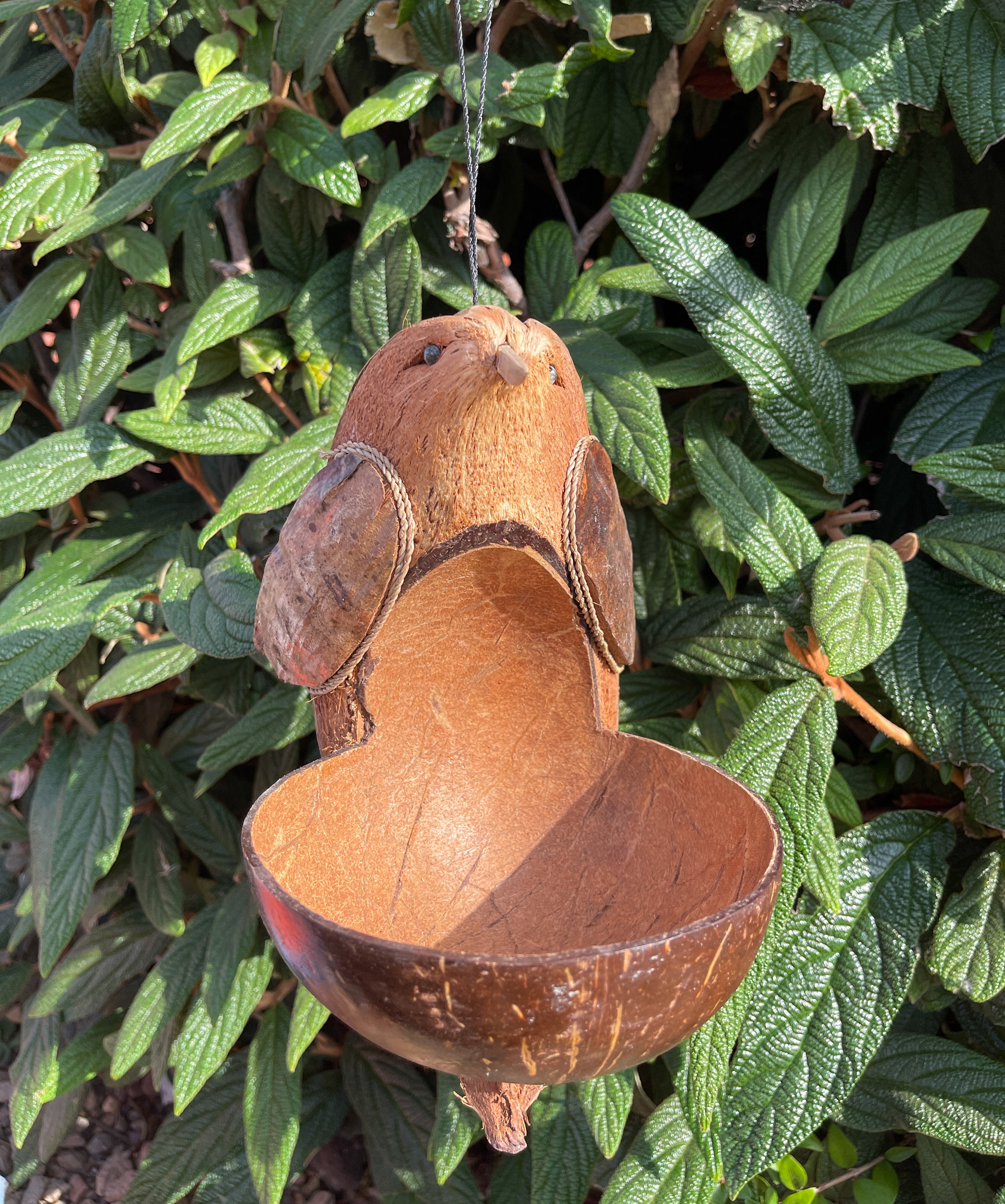 Coconut Bird Feeder - Bird