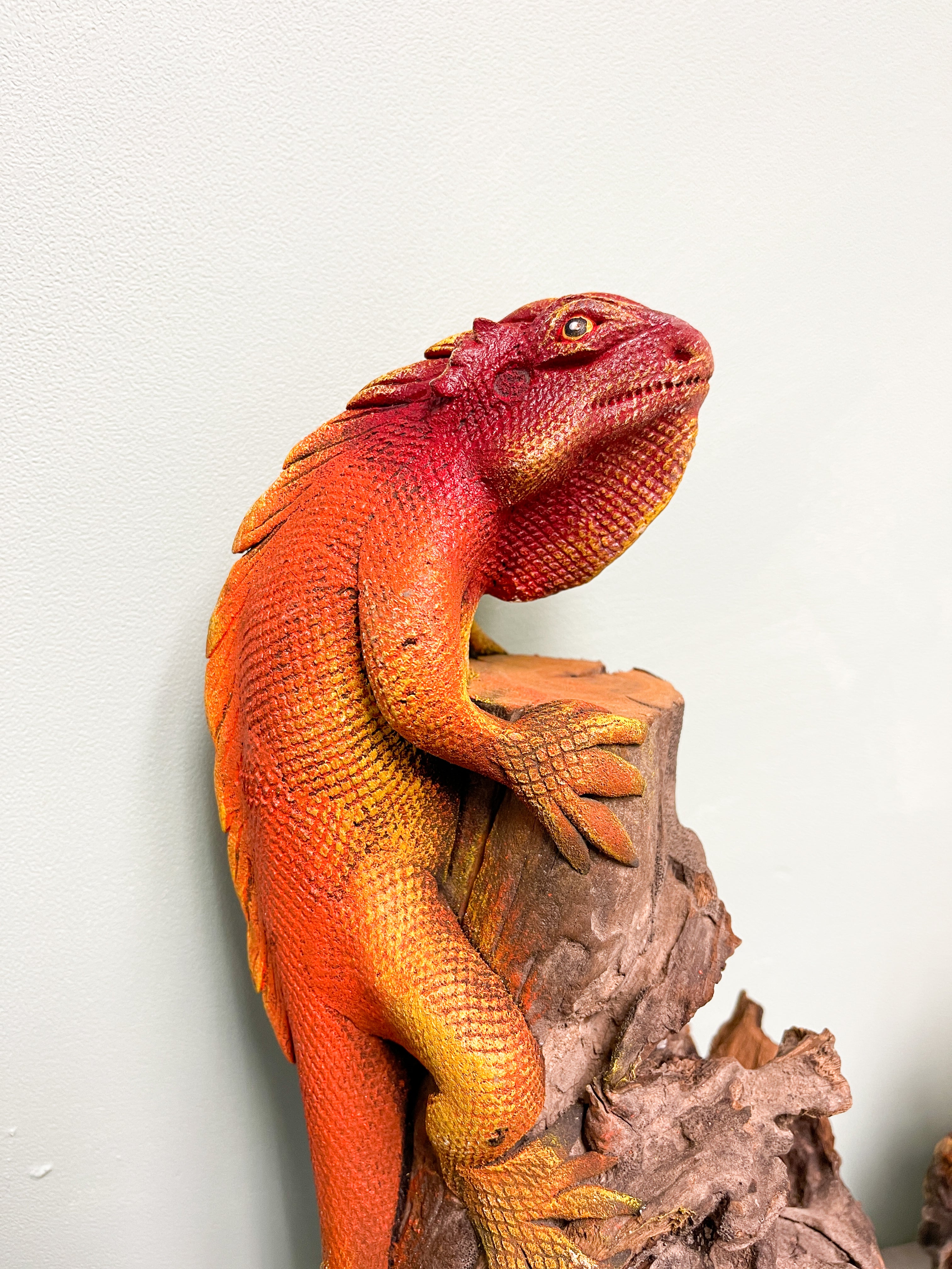 Large Iguana on Wood