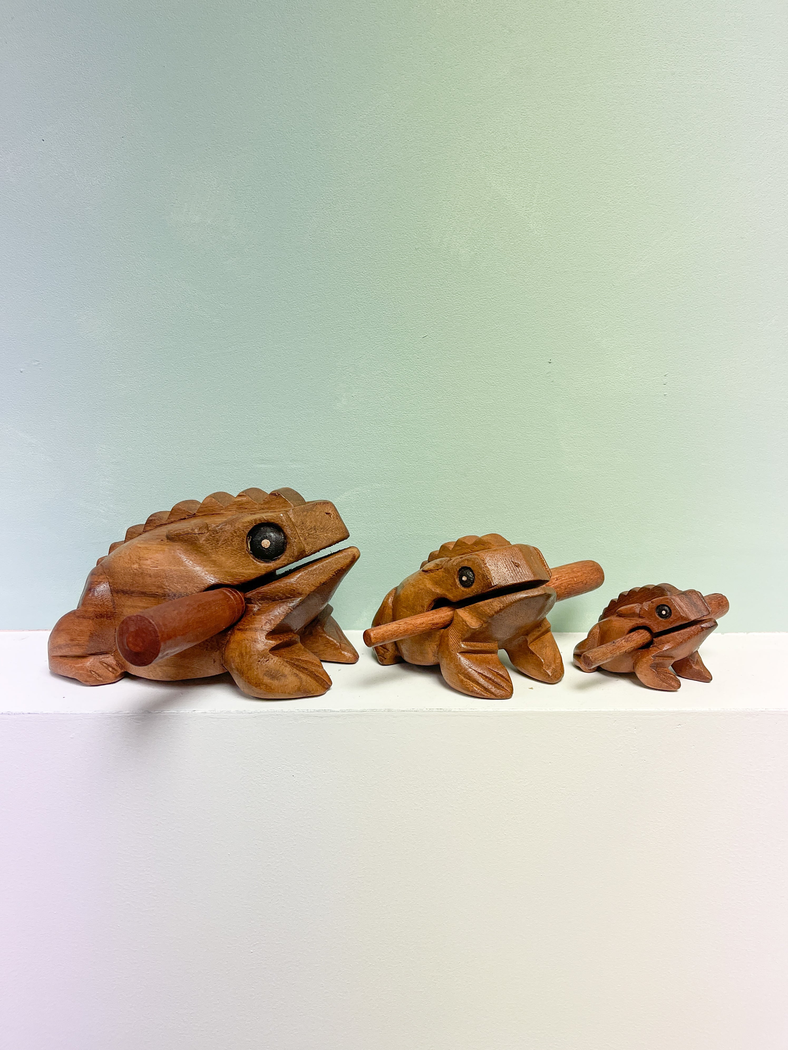 Frog Guiro Brown - Various Sizes