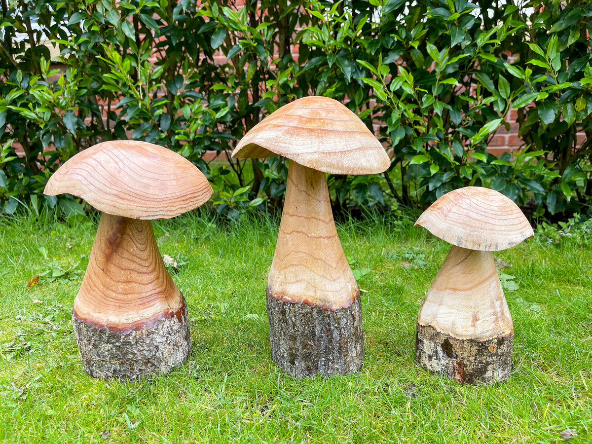 Wooden Carved Mushrooms Set of 3