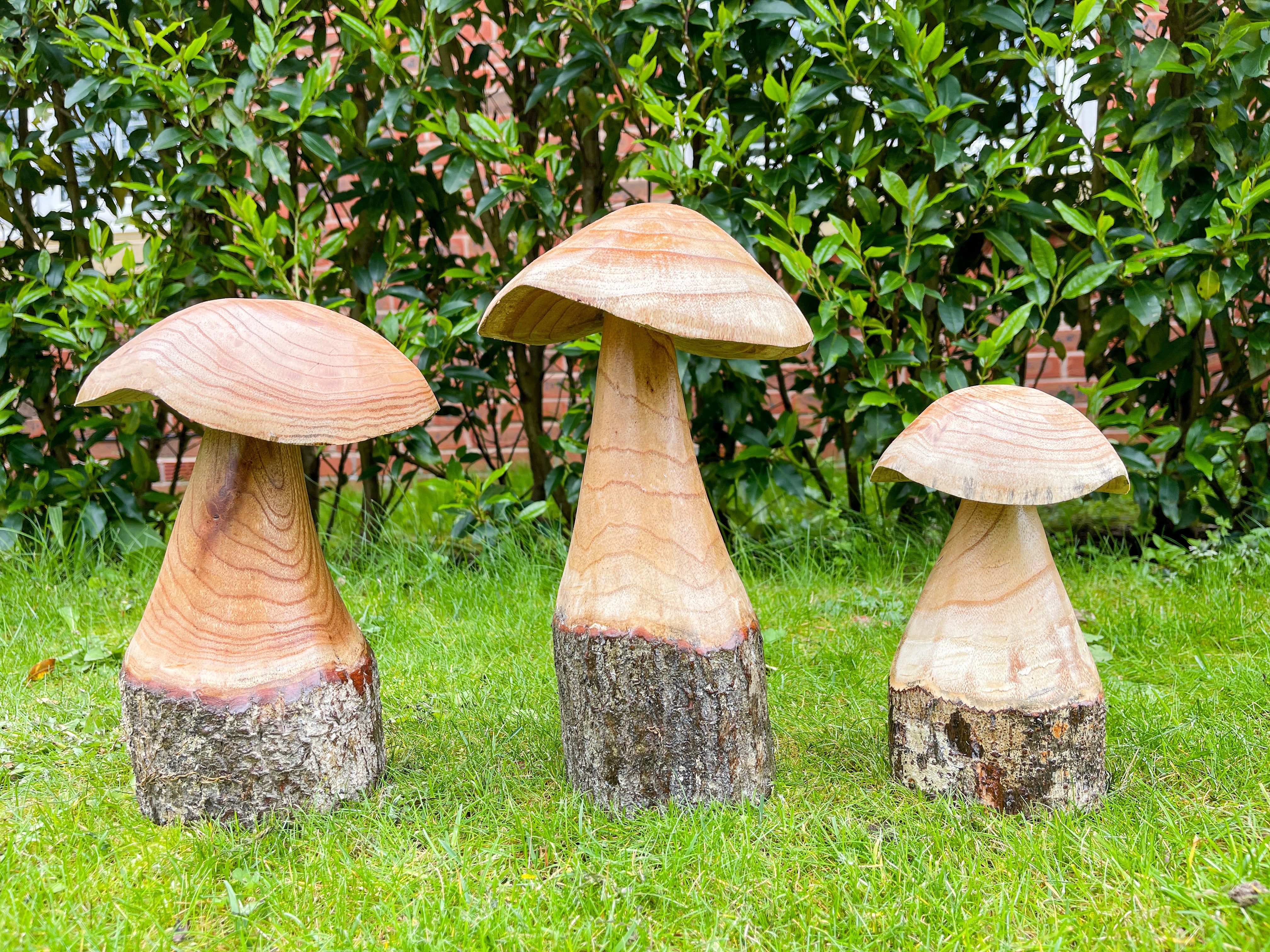 Wooden Carved Mushrooms Set of 3