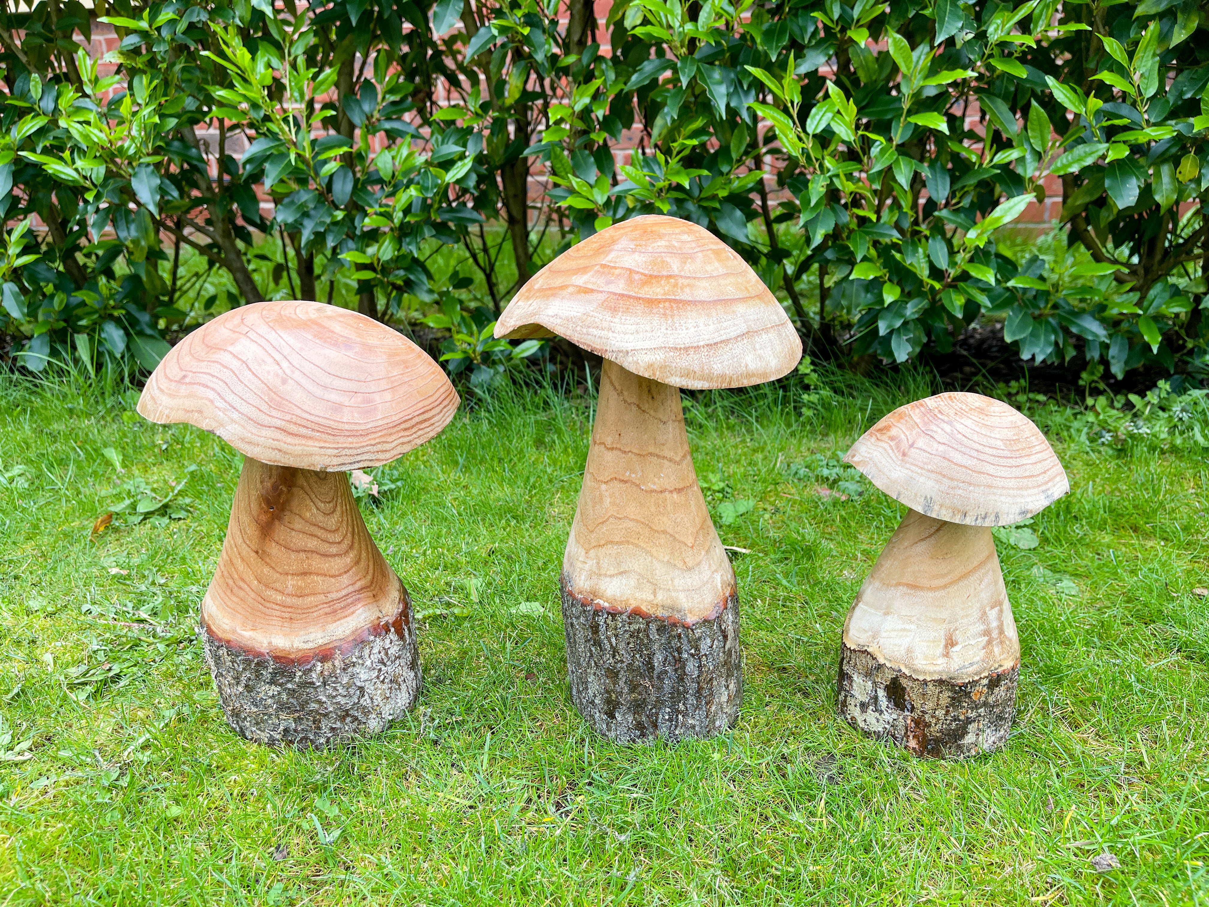 Wooden Carved Mushrooms Set of 3