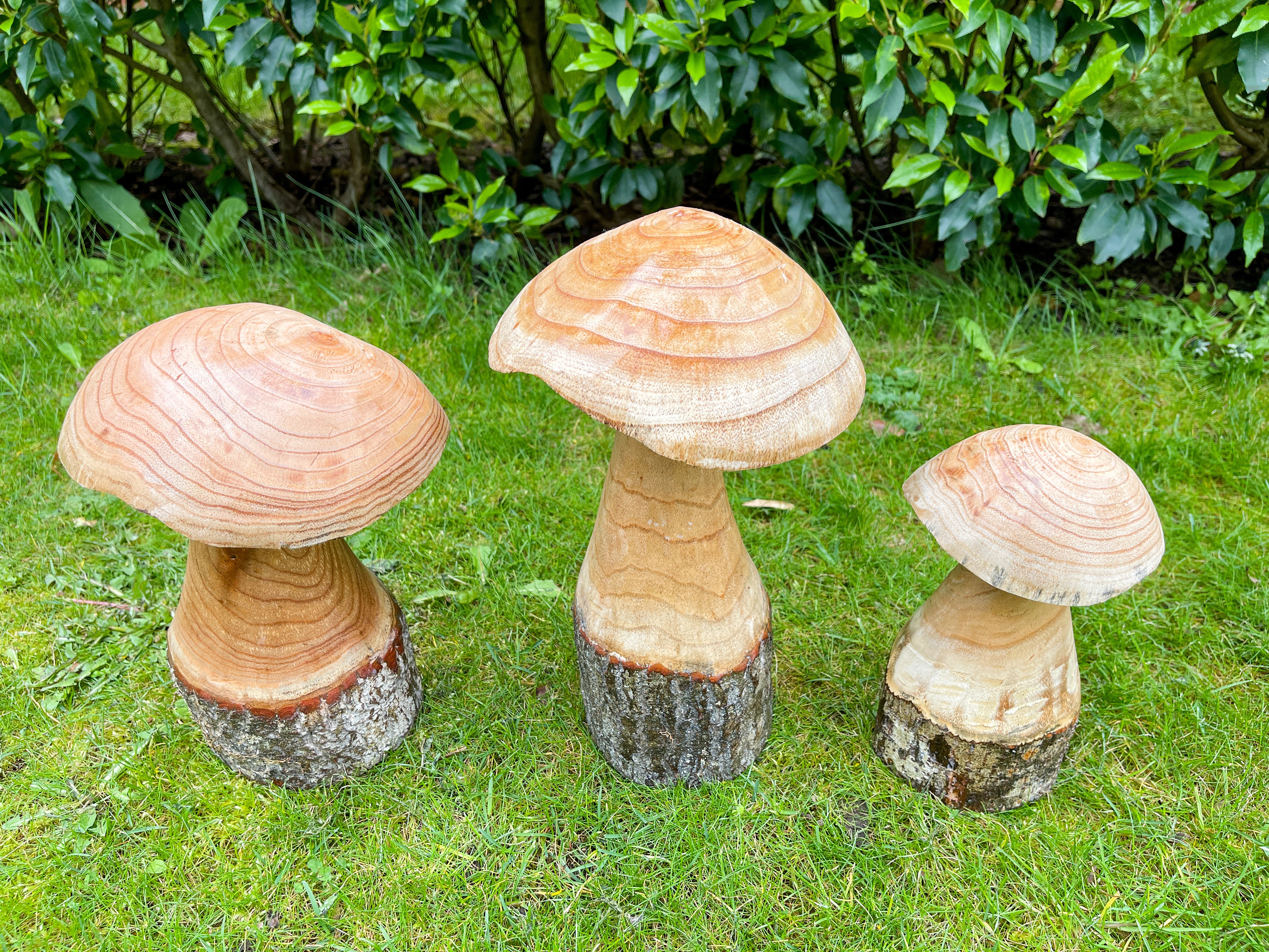 Wooden Carved Mushrooms Set of 3