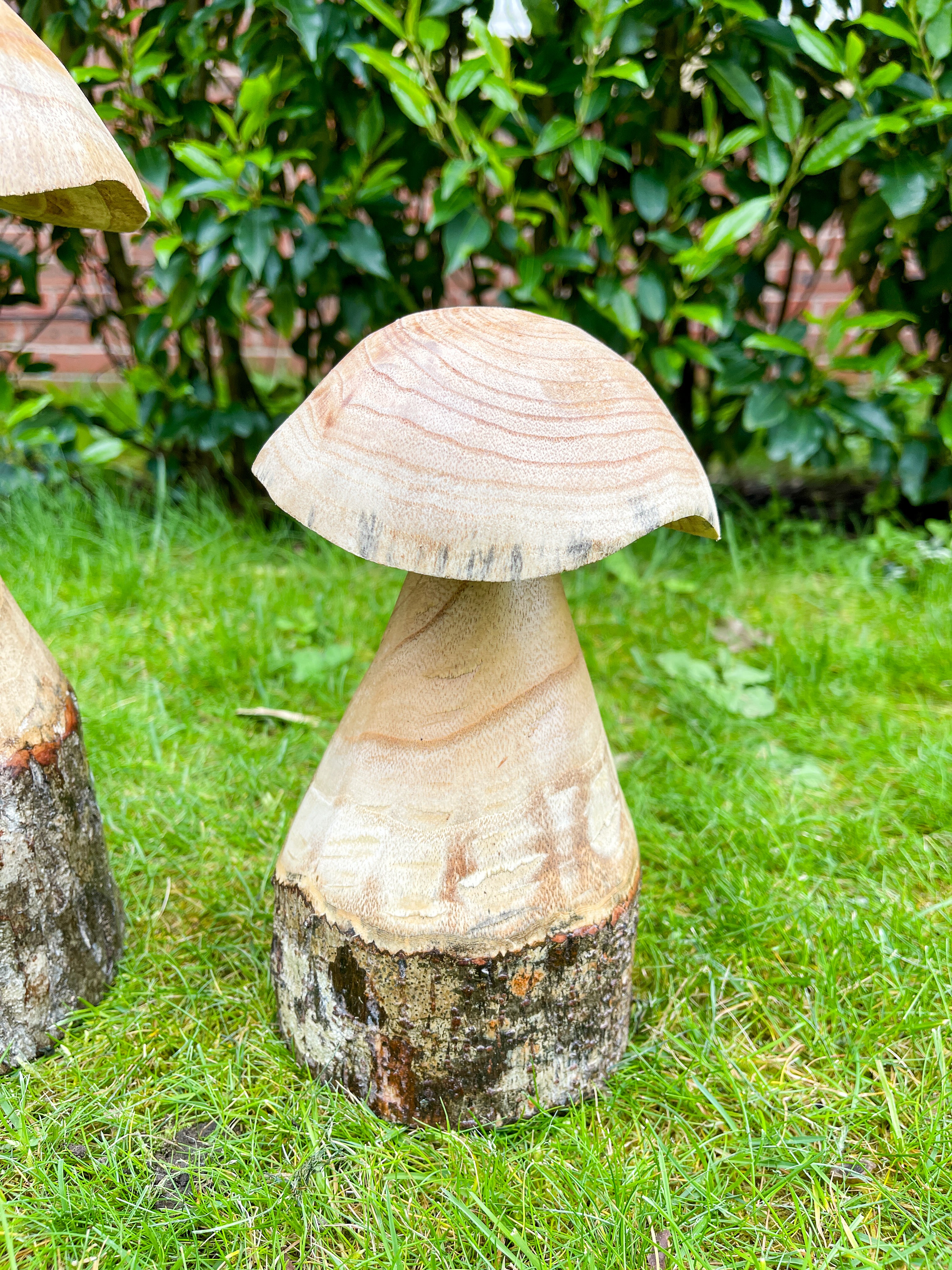 Wooden Carved Mushrooms Set of 3