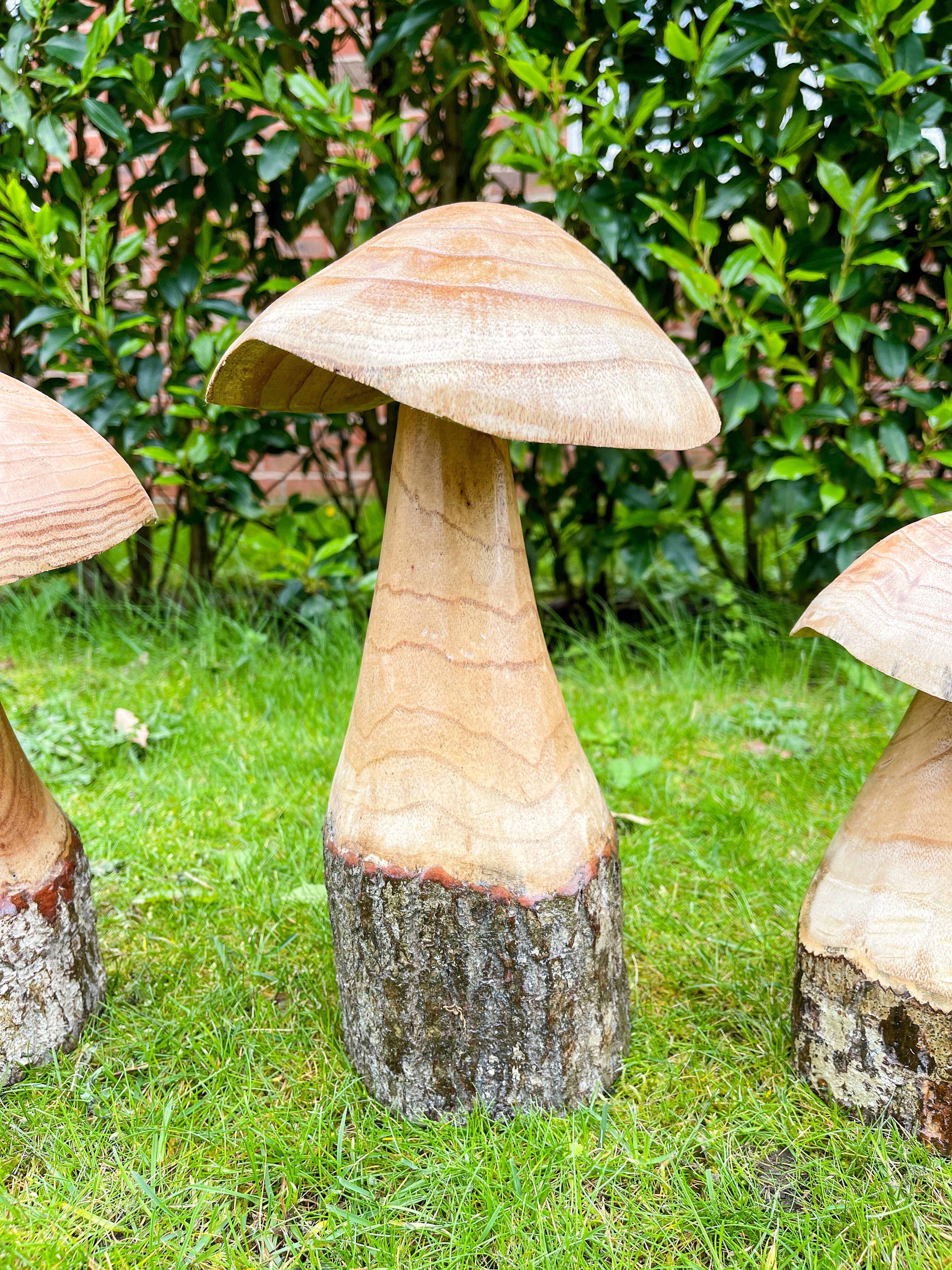 Wooden Carved Mushrooms Set of 3