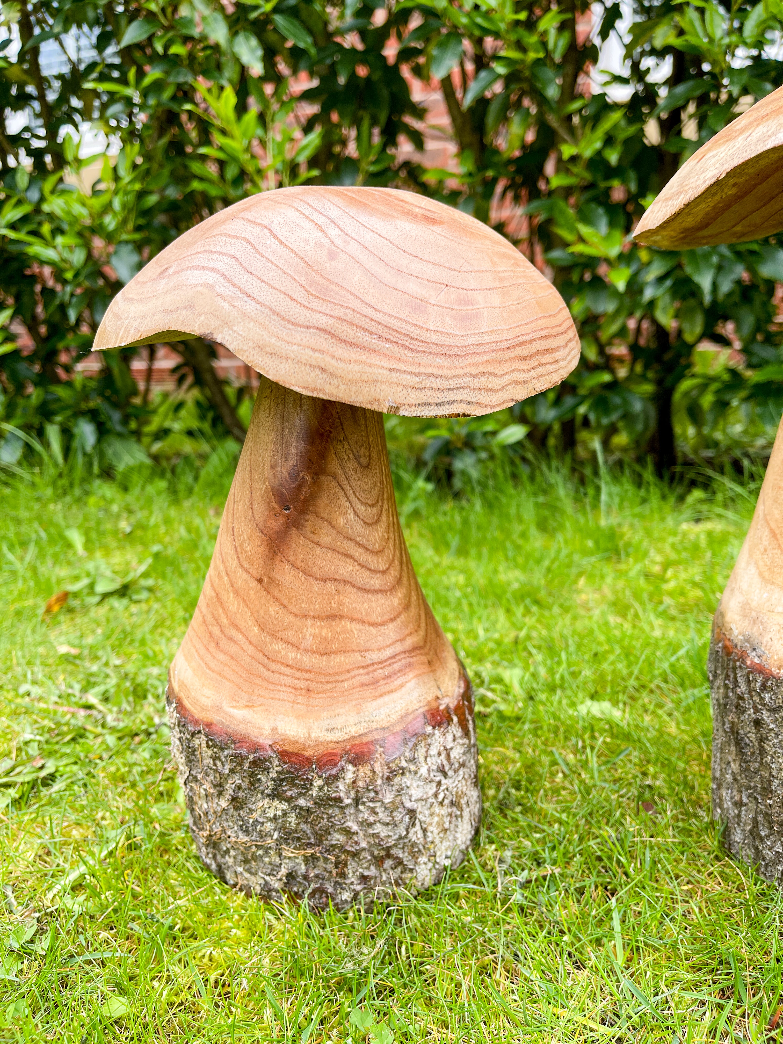 Wooden Carved Mushrooms Set of 3