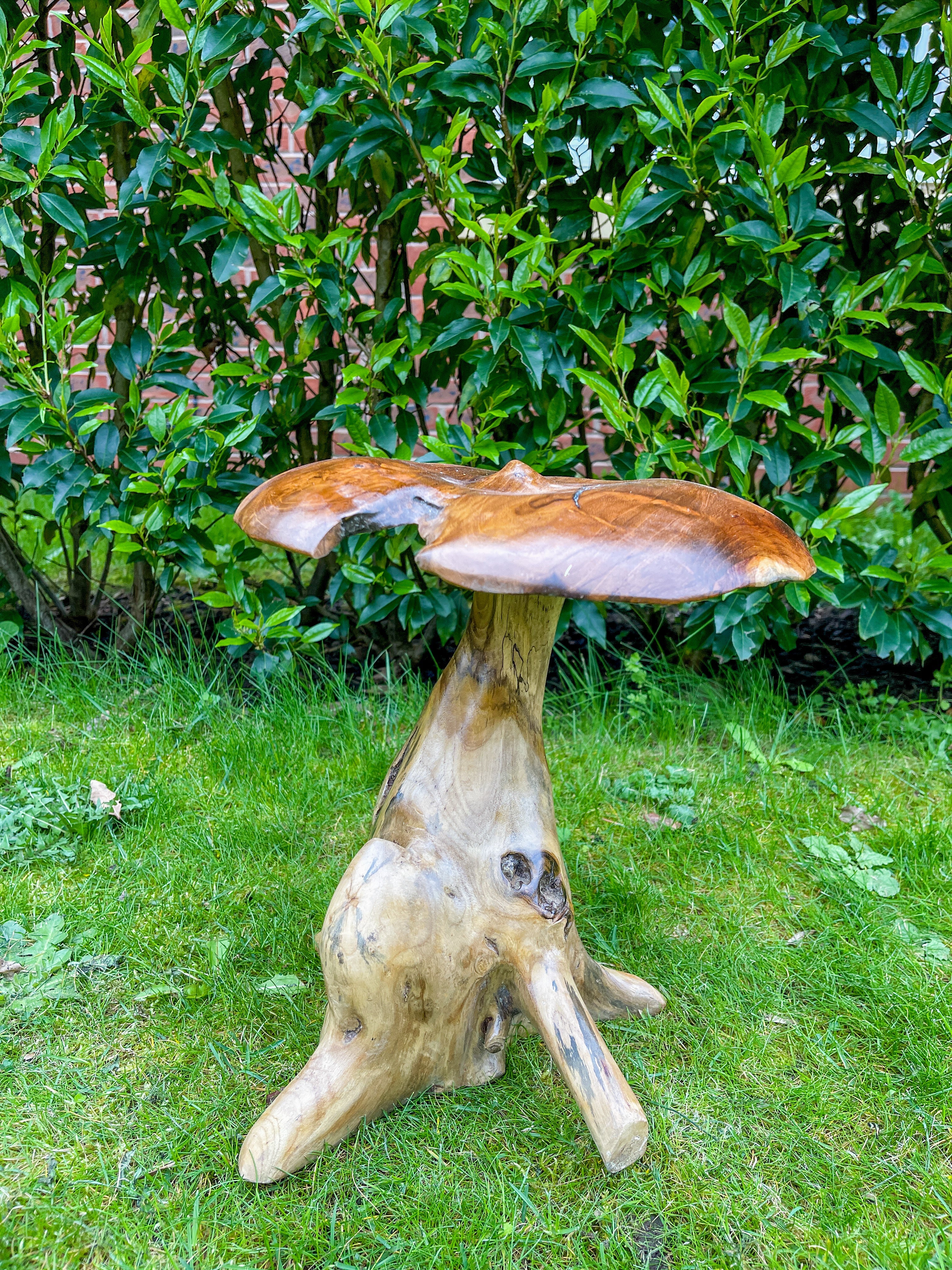 Small Teak Mushroom - 30cm