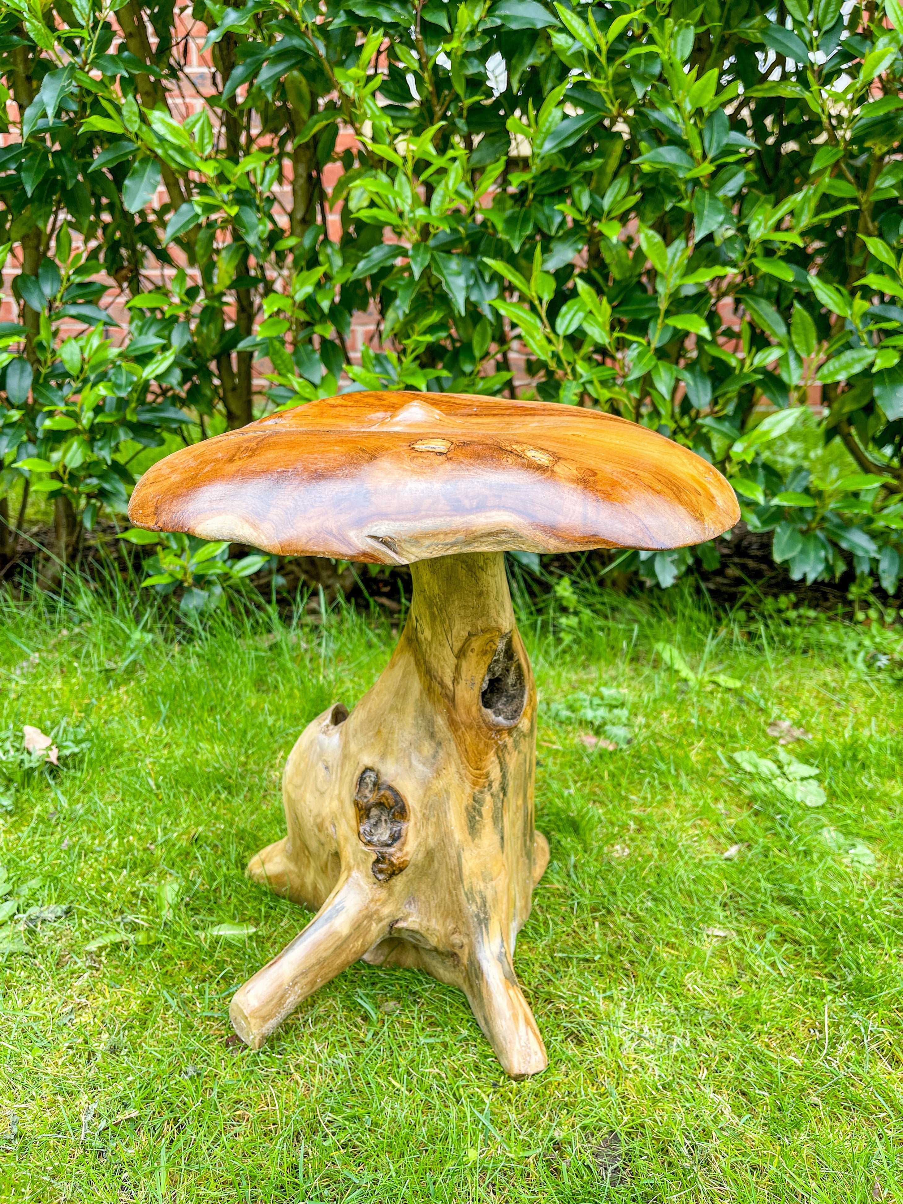 Small Teak Mushroom - 30cm