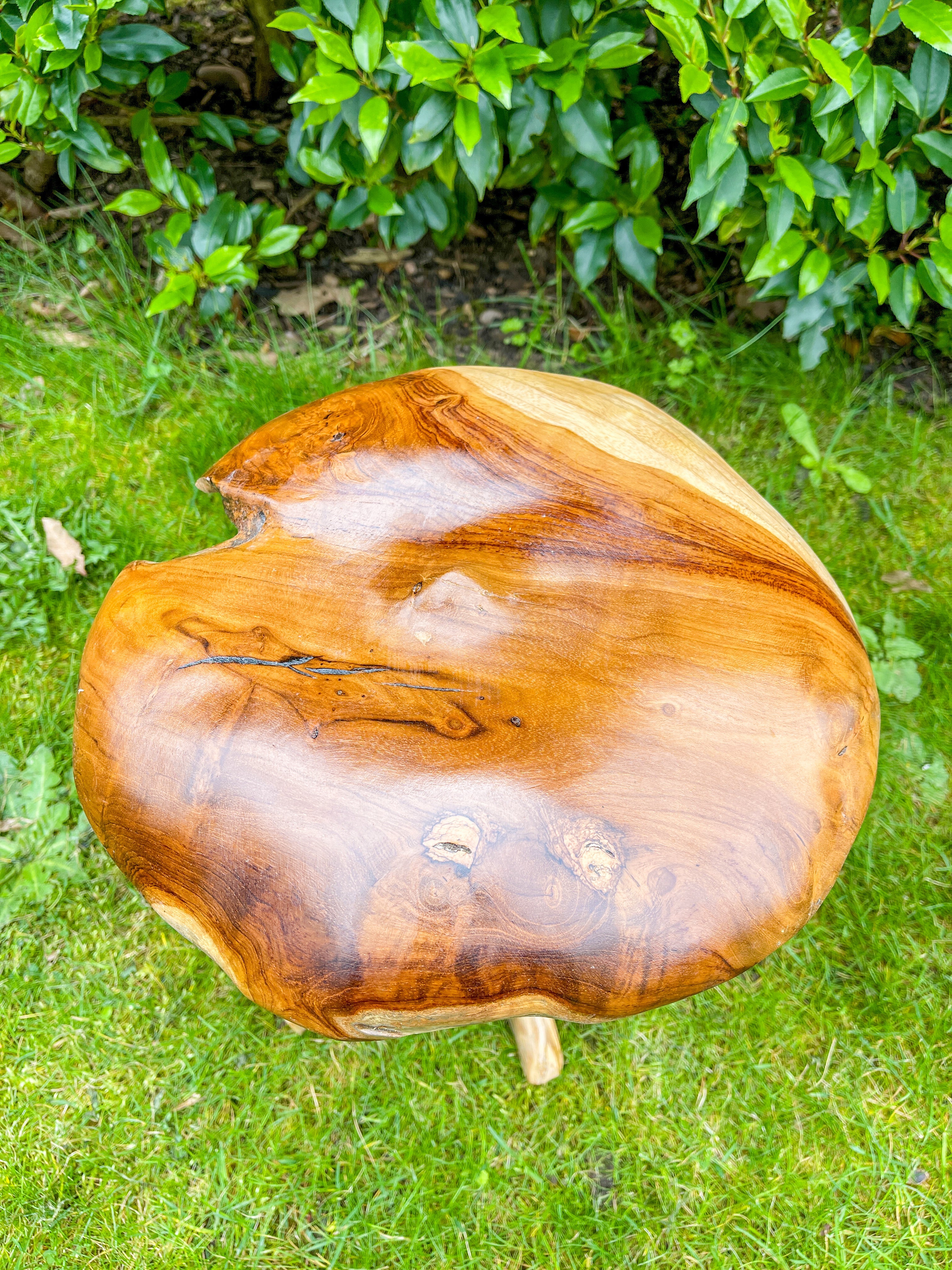 Small Teak Mushroom - 30cm