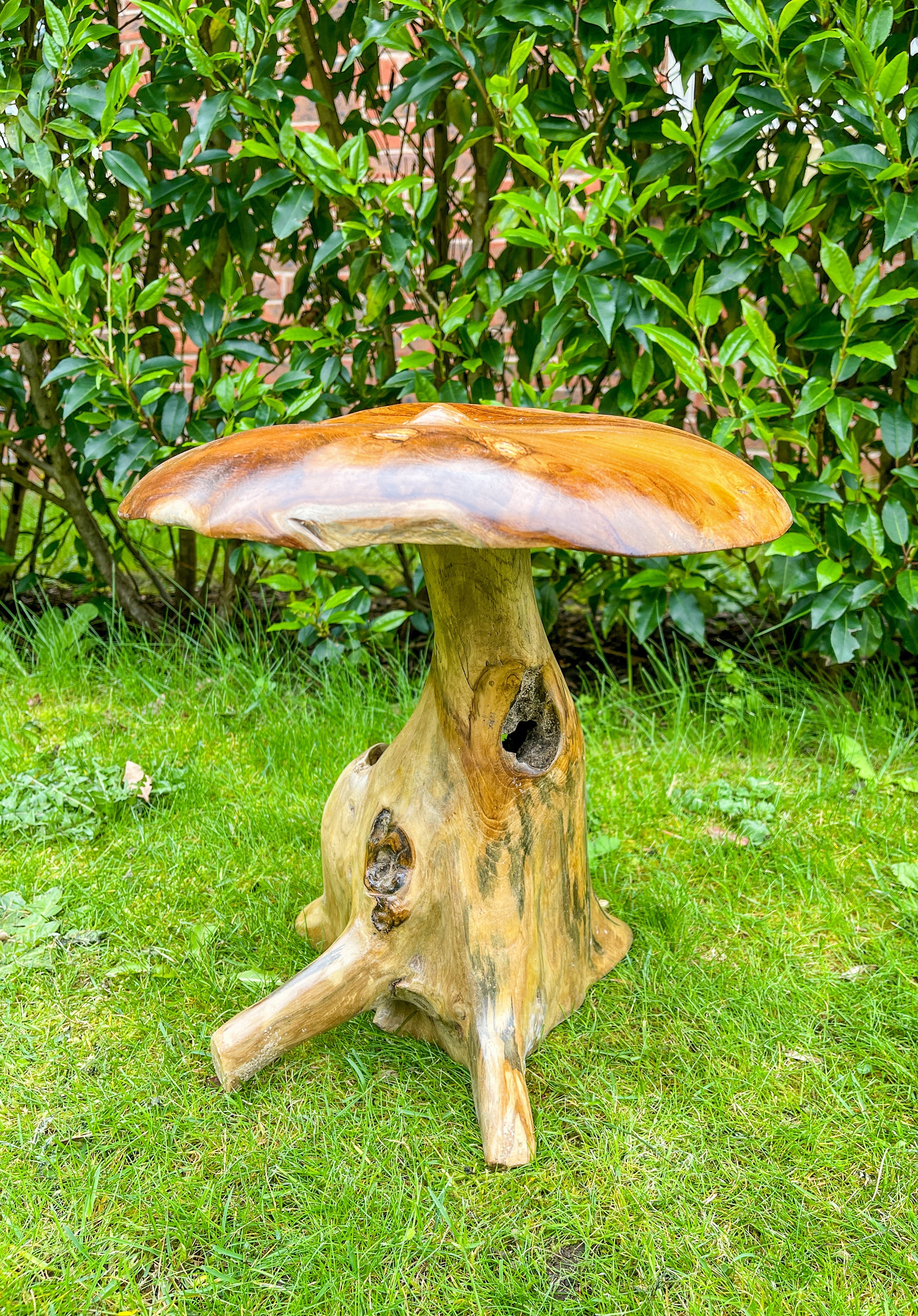 Small Teak Mushroom - 30cm