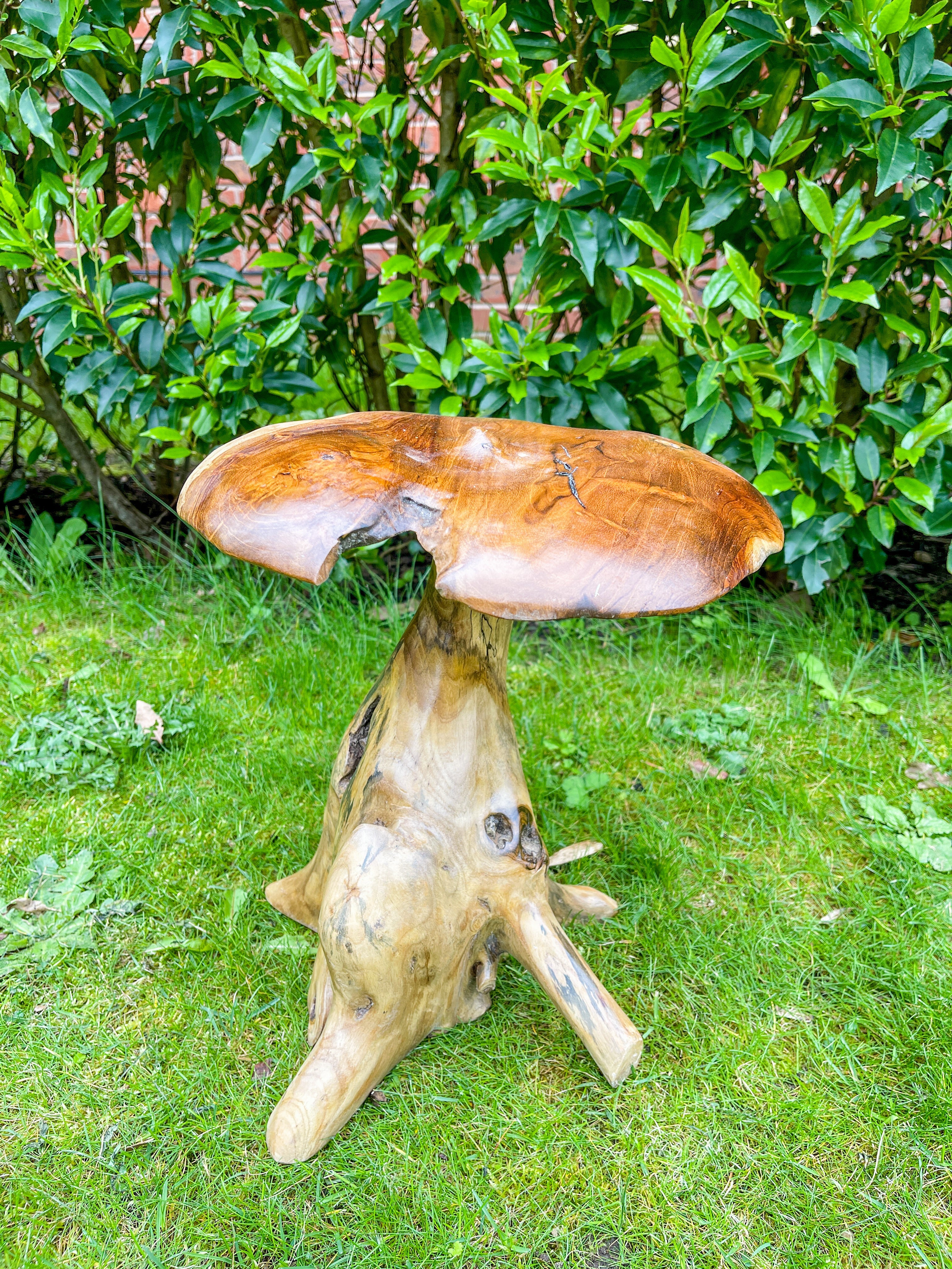 Small Teak Mushroom - 30cm