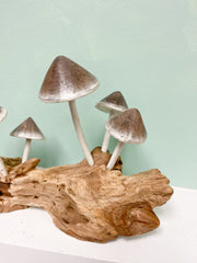 Wood Painted Mushrooms x5