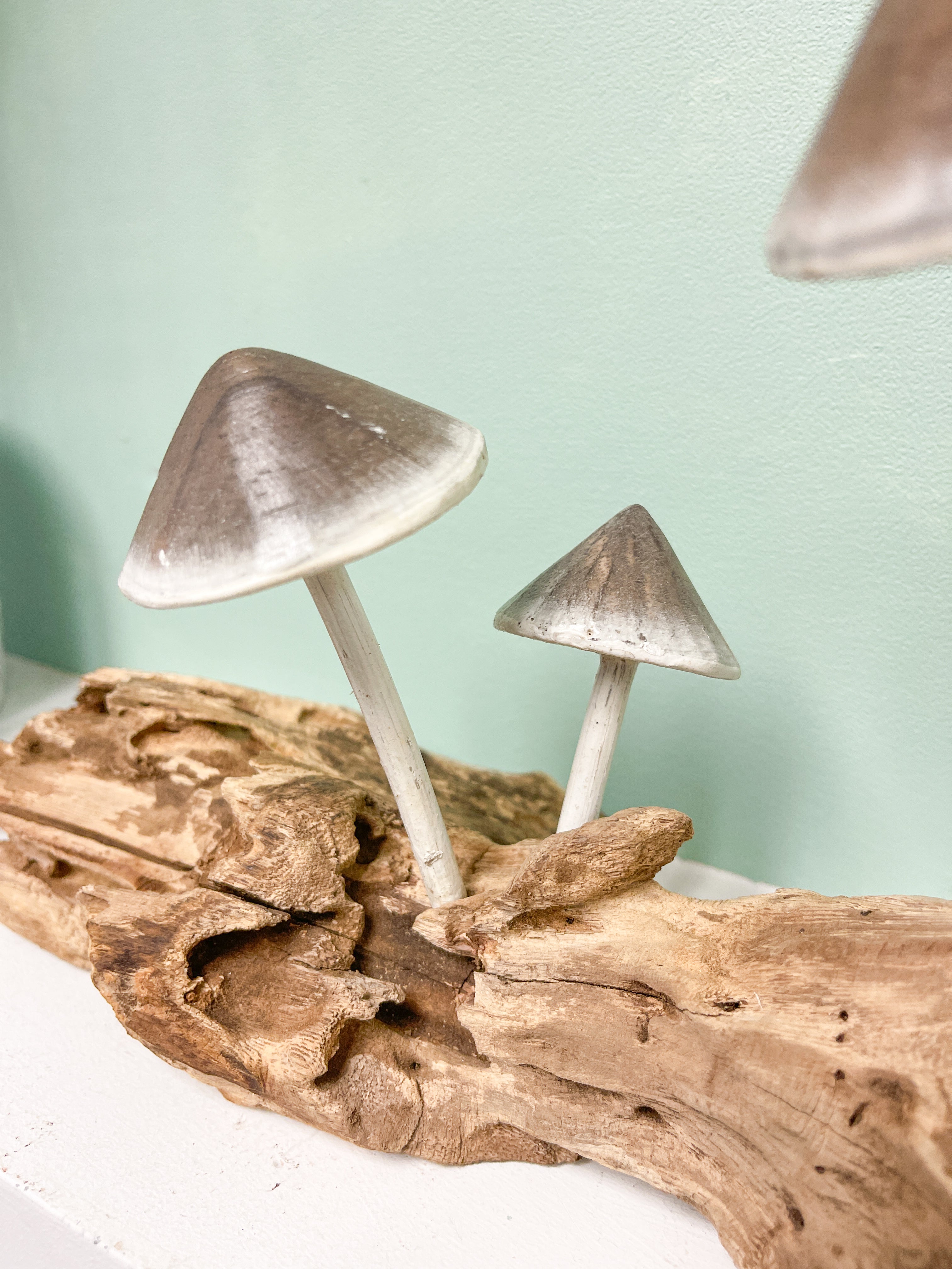 Wood Painted Mushrooms x5