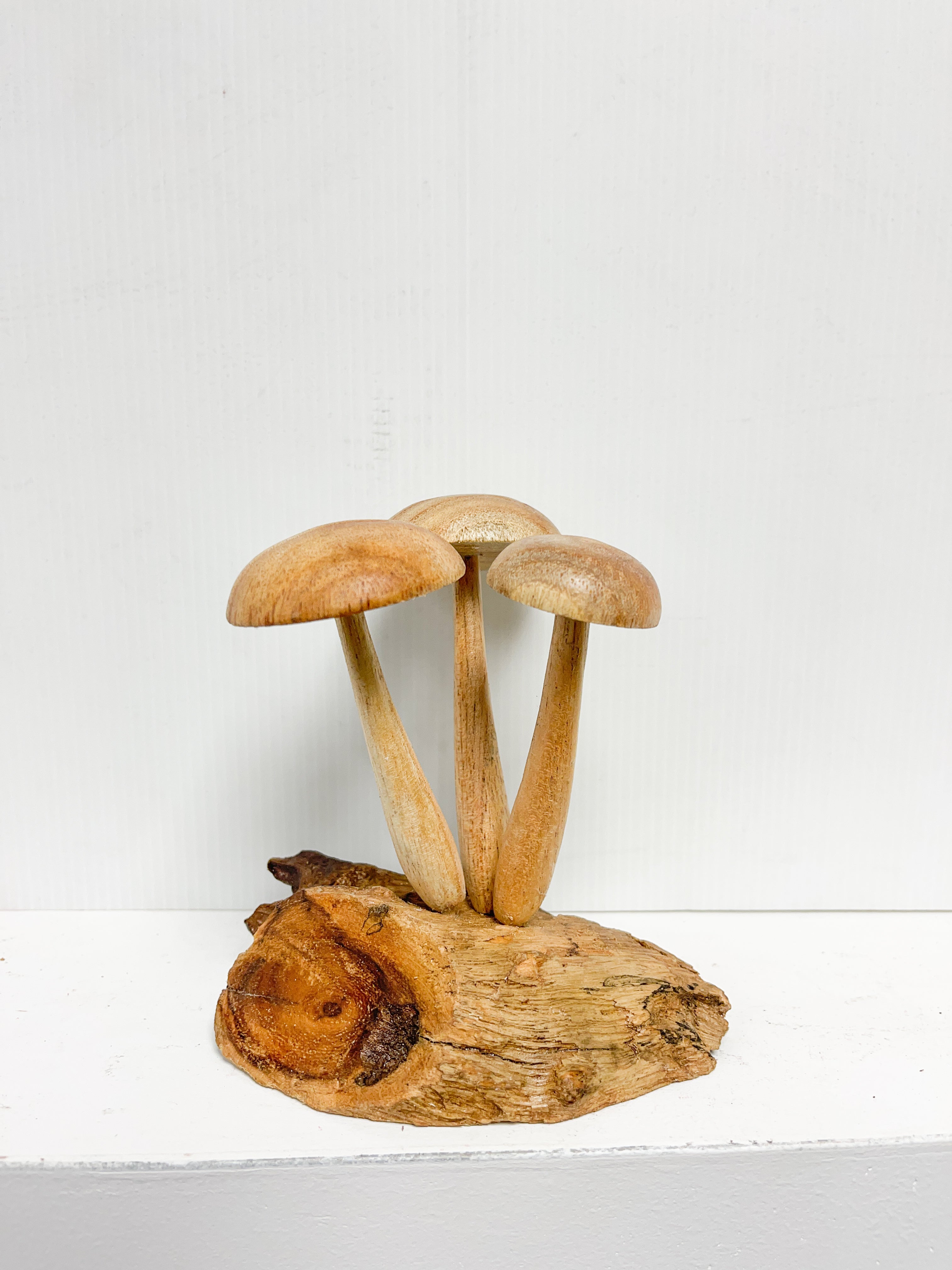 Mushrooms Toadstools Group of Three on Log Wood