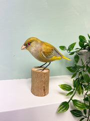 Handpainted Carved Wooden Green Finch on Wood