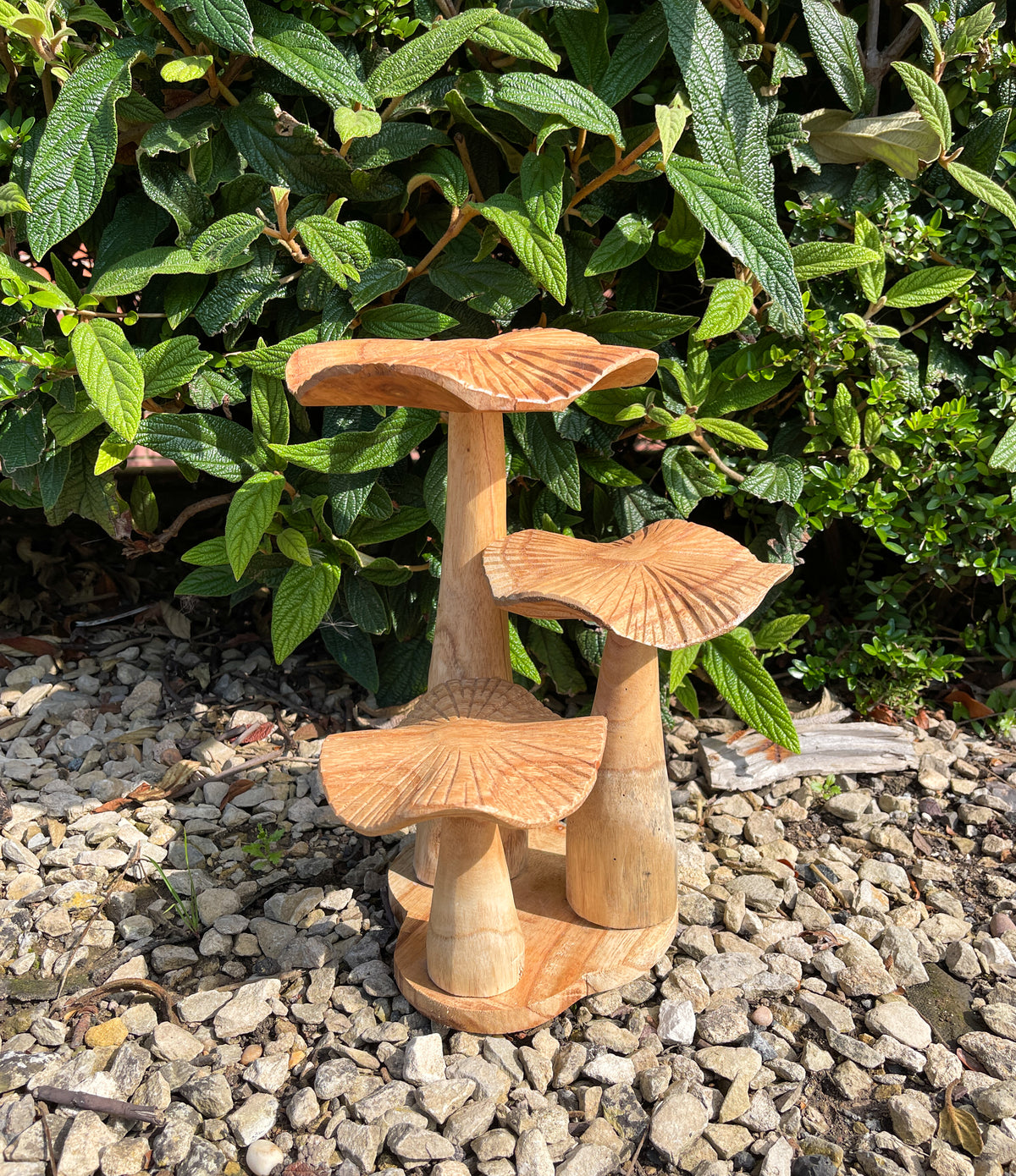 Natural Wooden Mushrooms with Base