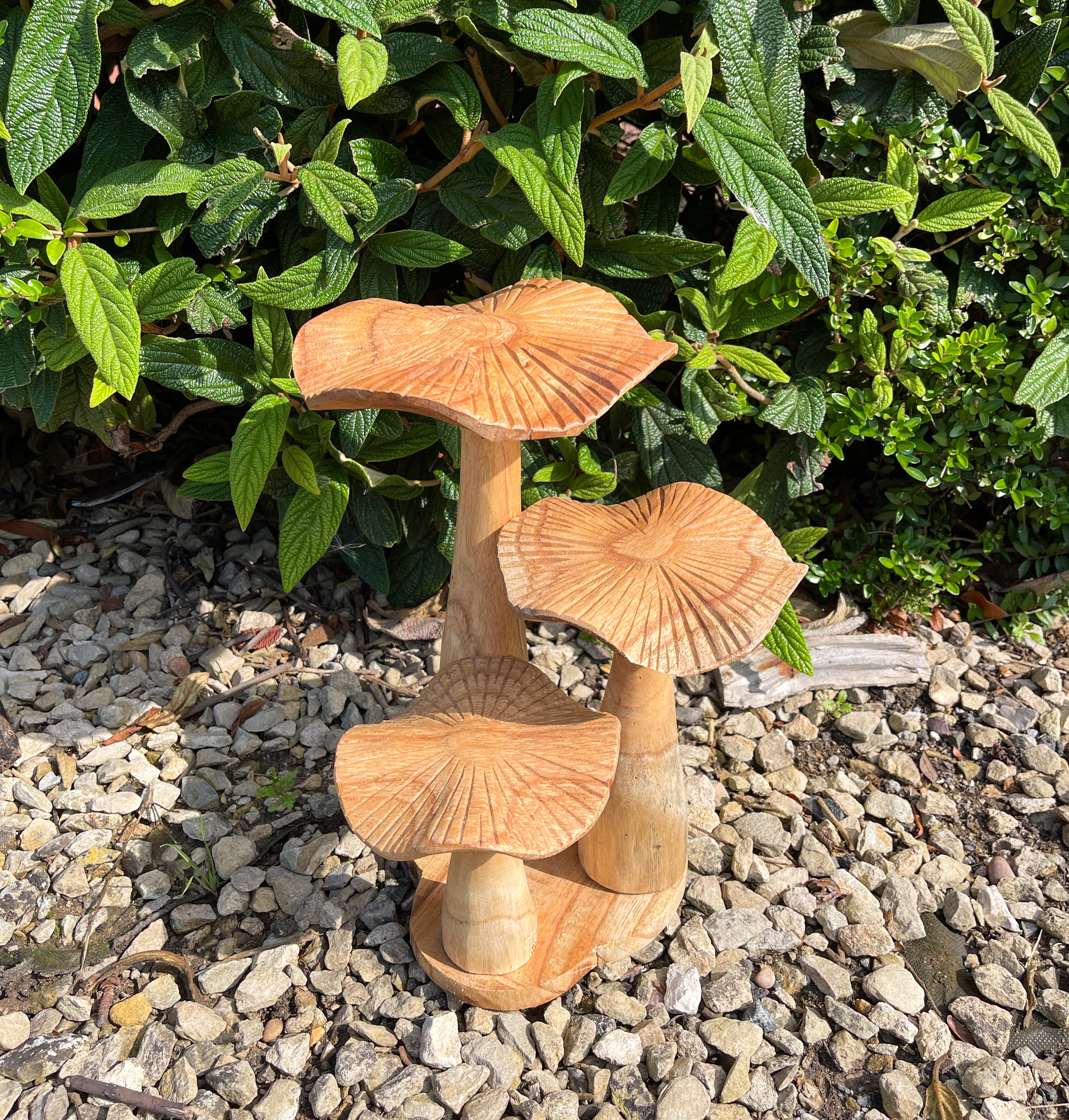 Natural Wooden Mushrooms with Base