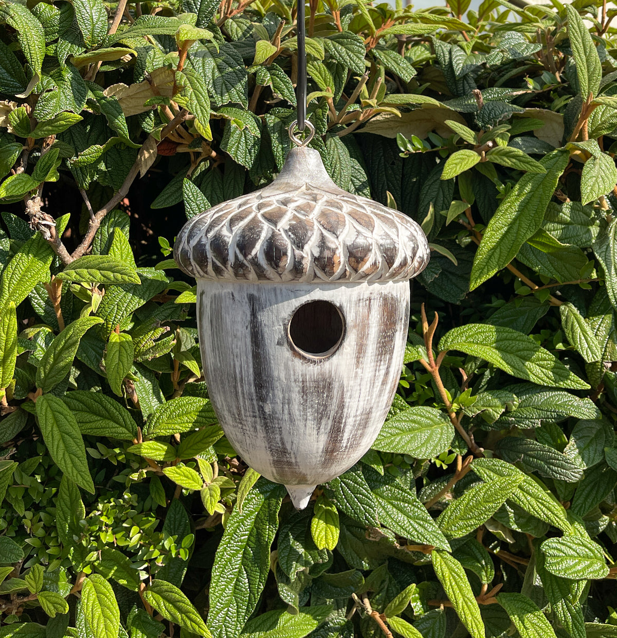 Wooden Acorn Bird House - White