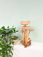 4 Wooden Carved Mushrooms on Parasite Wood