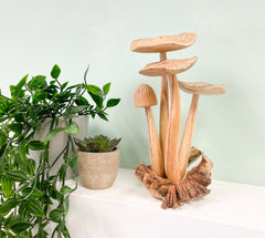 4 Wooden Carved Mushrooms on Parasite Wood