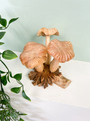 Wooden Mushrooms Group of Three on Parasite Wood