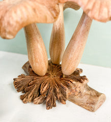 Wooden Mushrooms Group of Three on Parasite Wood