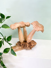 Wooden Mushrooms Group of Three on Parasite Wood