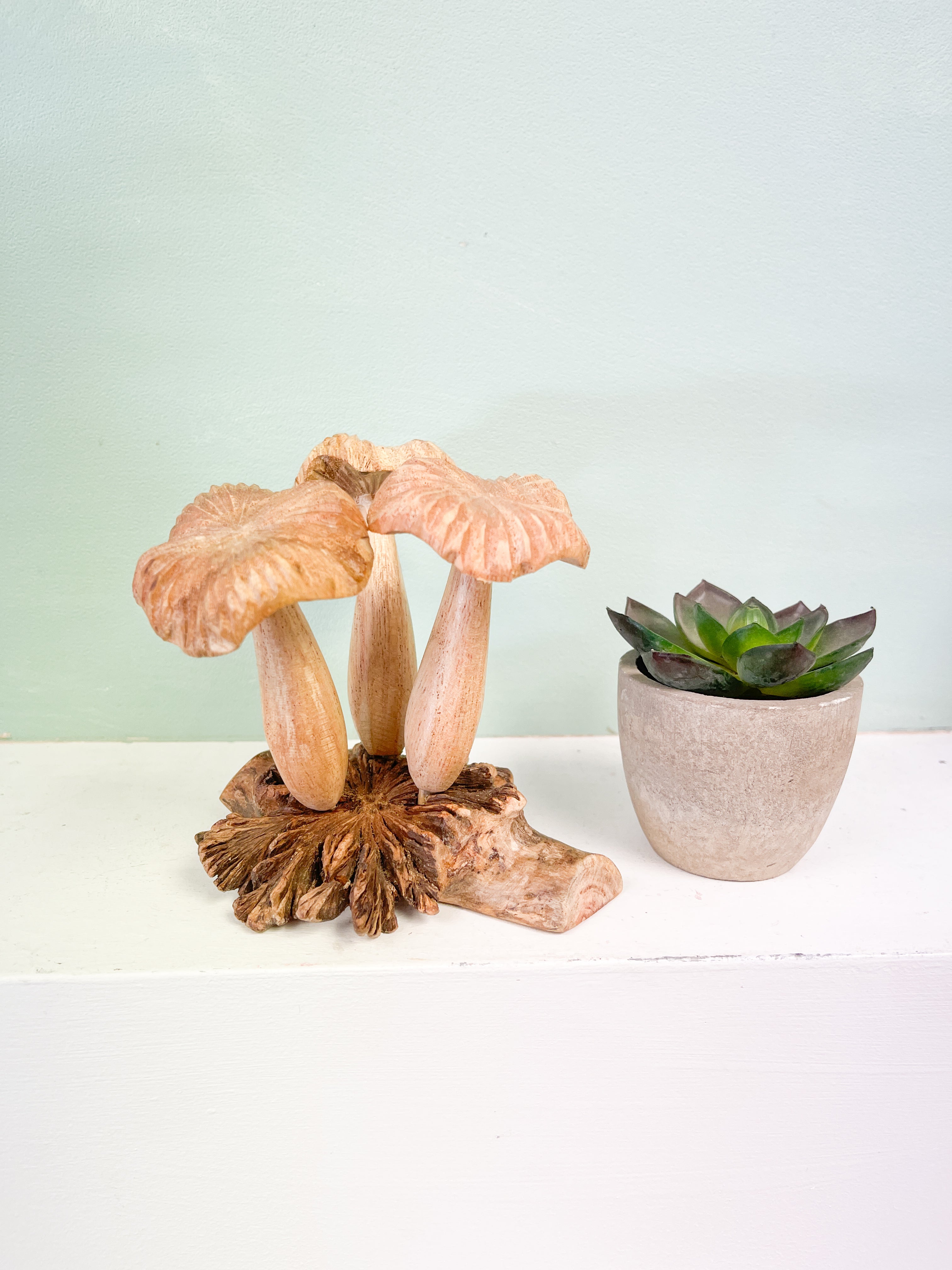 Wooden Mushrooms Group of Three on Parasite Wood