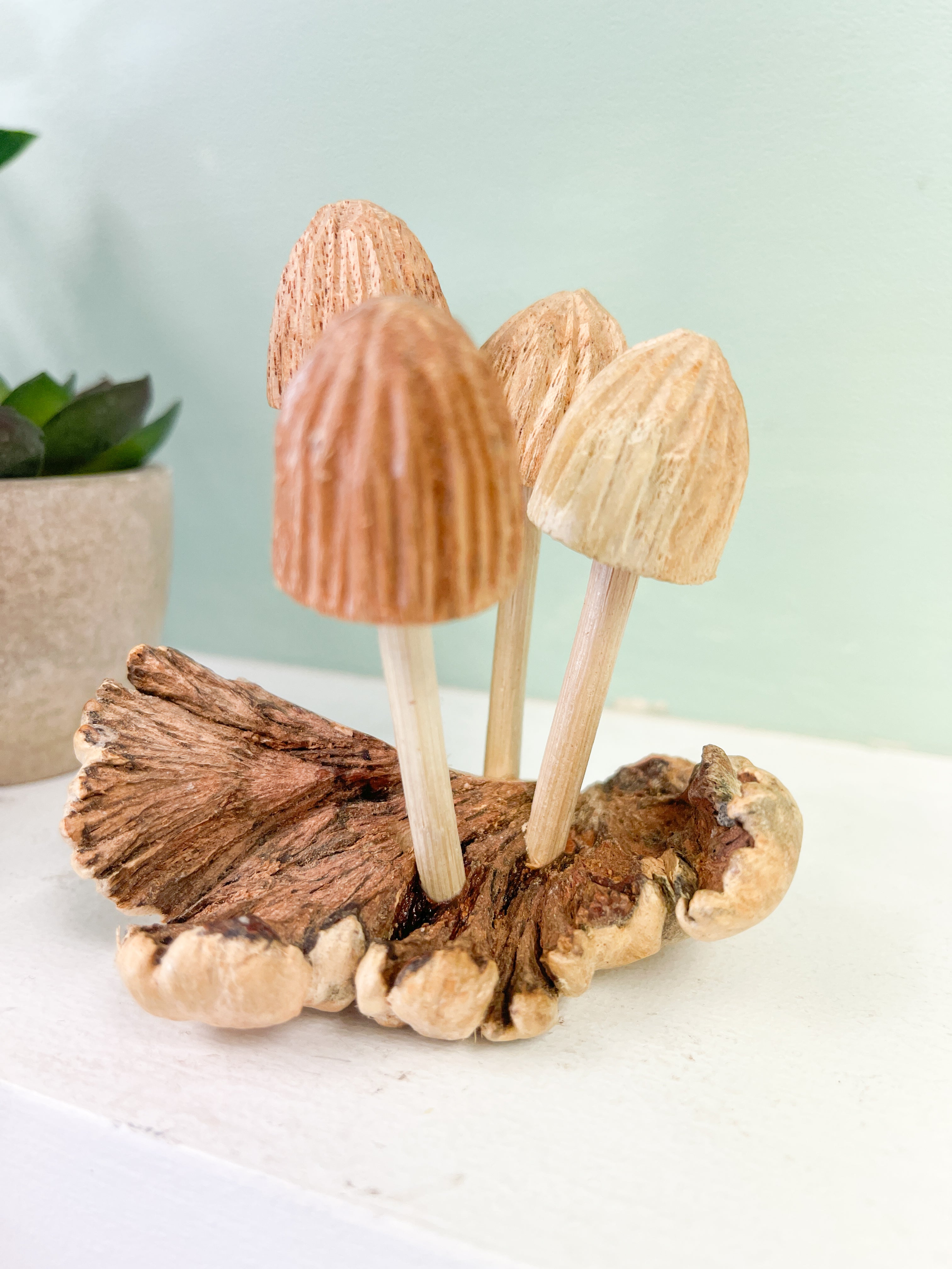 Wooden Mushrooms Group of Four on Parasite Wood