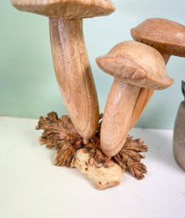 Copy of Wooden Mushrooms Group of Three on Parasite Wood