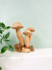 Copy of Wooden Mushrooms Group of Three on Parasite Wood