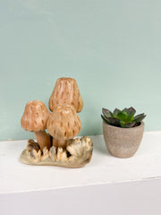 Wooden Morel Mushrooms Group of Three on Parasite Wood