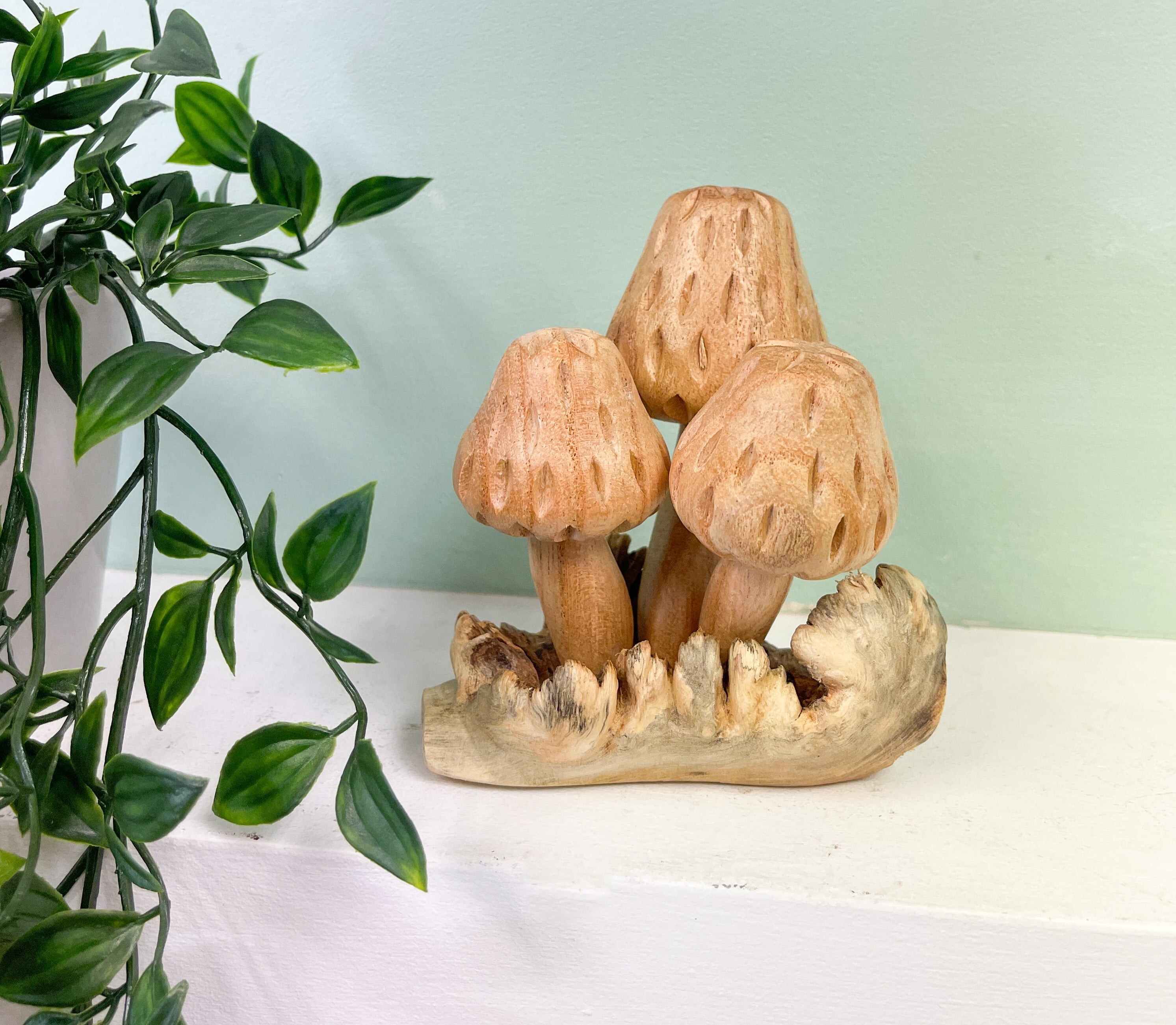 Wooden Morel Mushrooms Group of Three on Parasite Wood