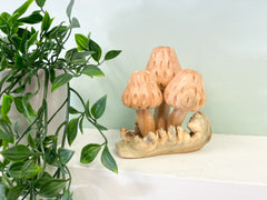 Wooden Morel Mushrooms Group of Three on Parasite Wood