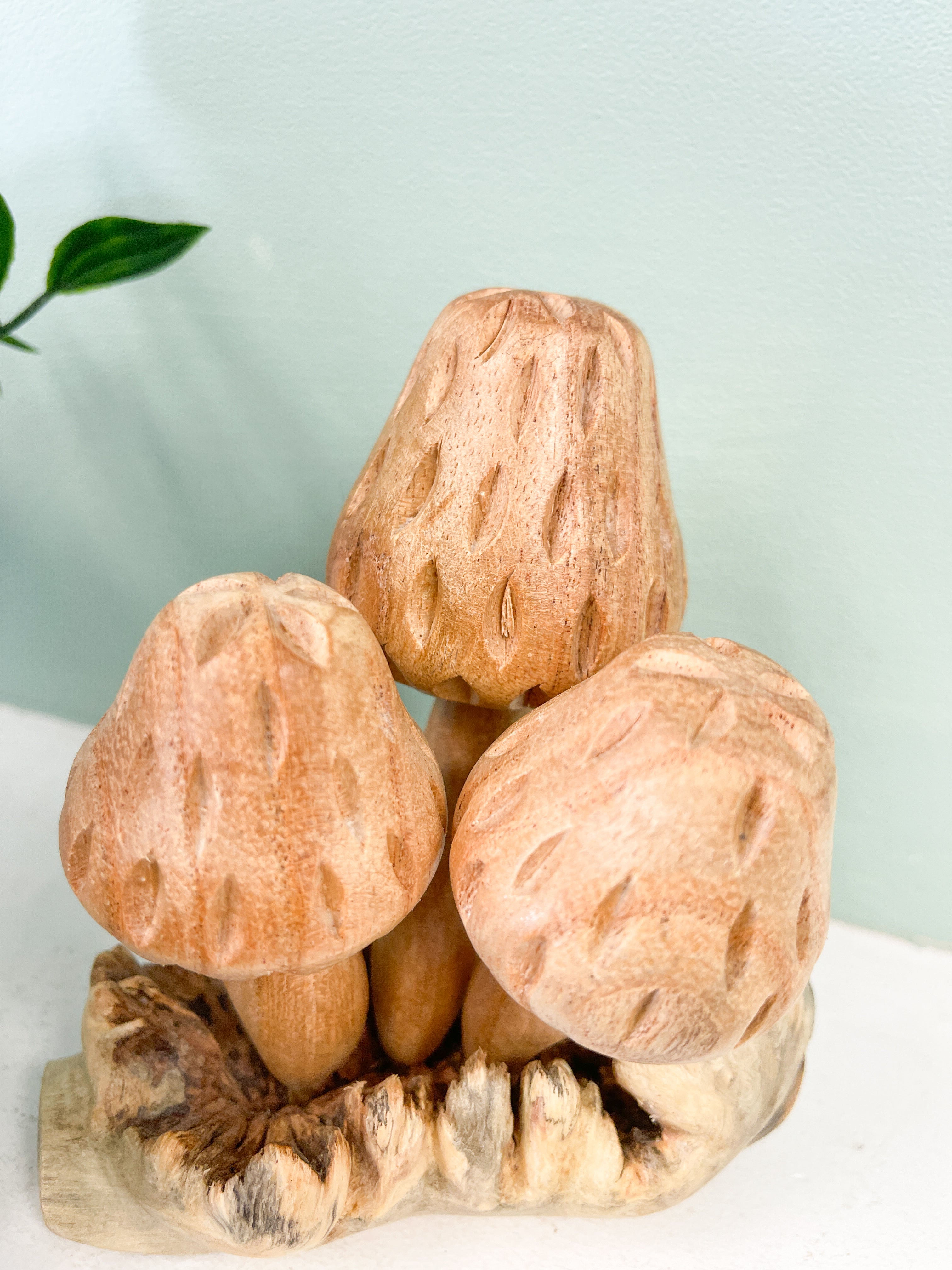 Wooden Morel Mushrooms Group of Three on Parasite Wood