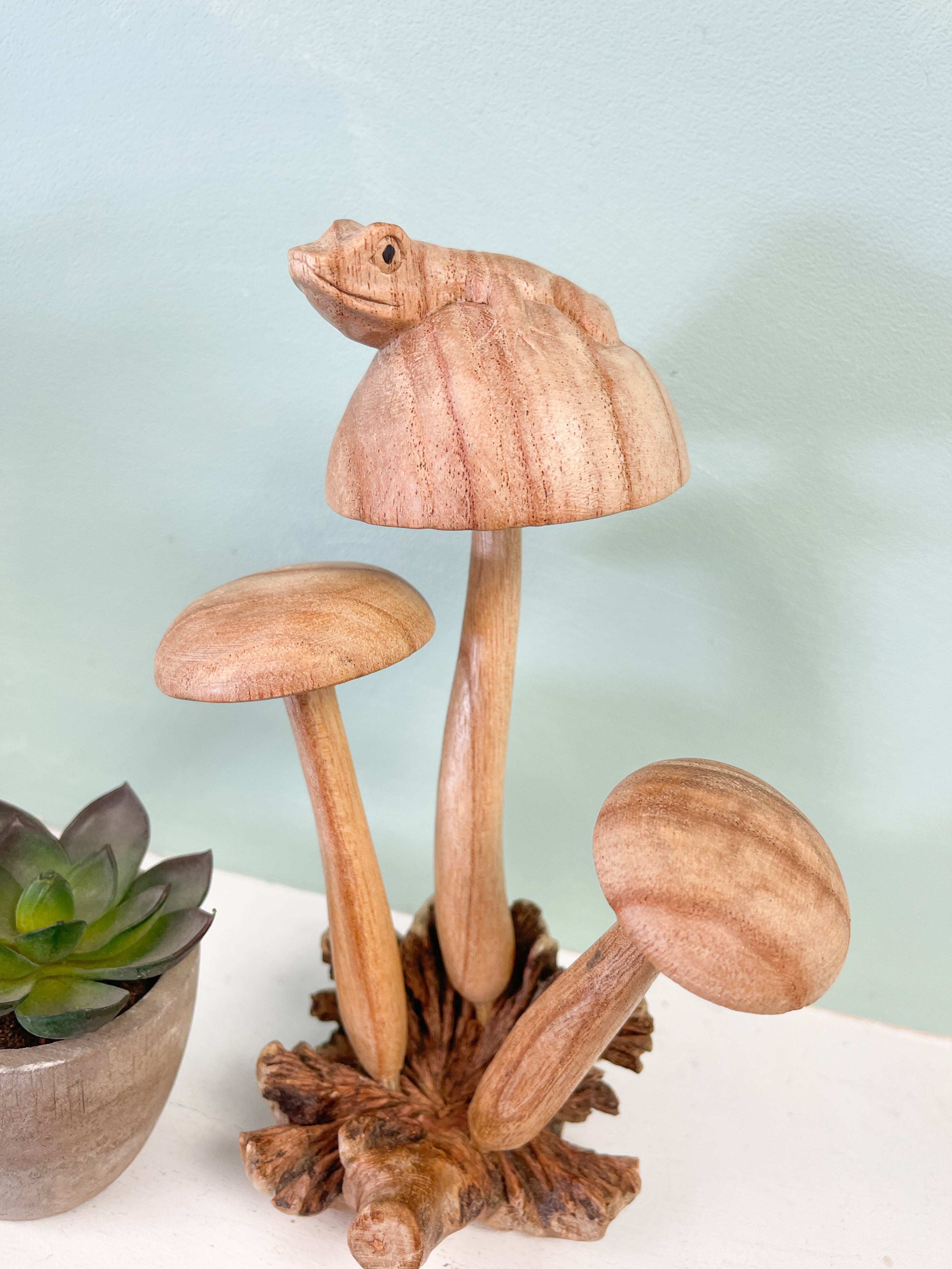 Wooden Frog on Three Mushrooms Parasite Wood