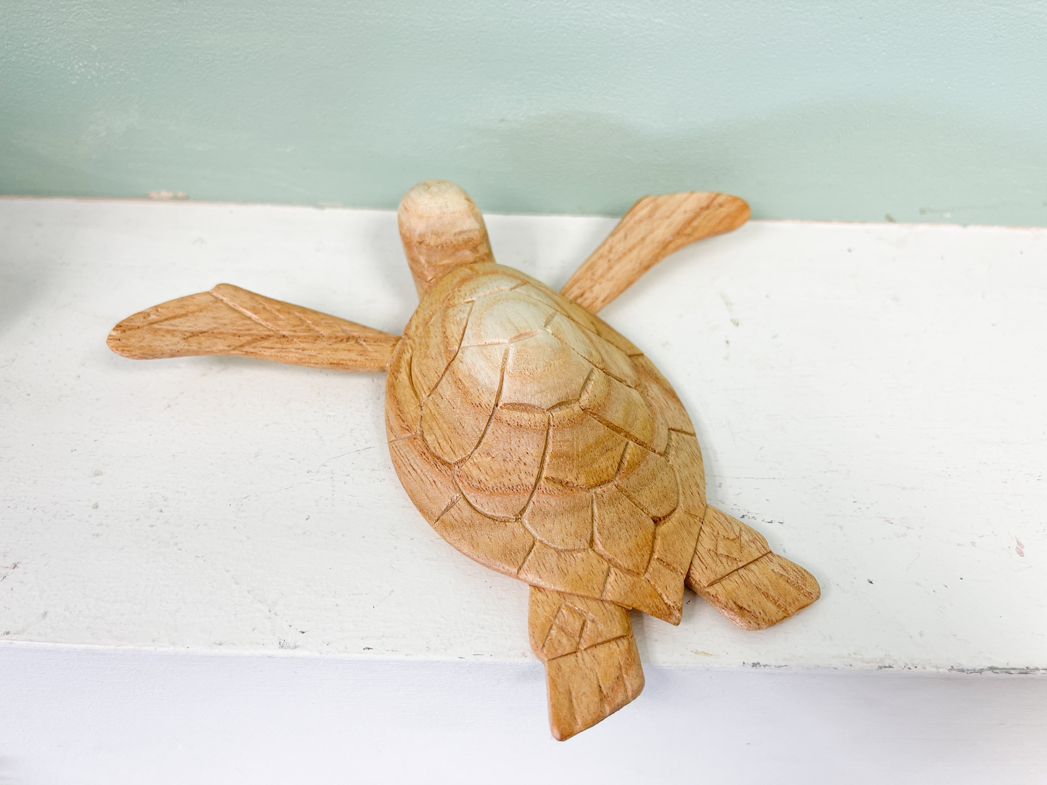 Wooden Turtle Ornament on Parasite Wood