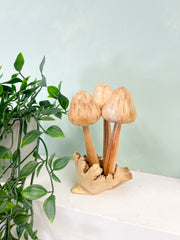 Wooden Morel Mushrooms Group of 3 on Parasite Wood