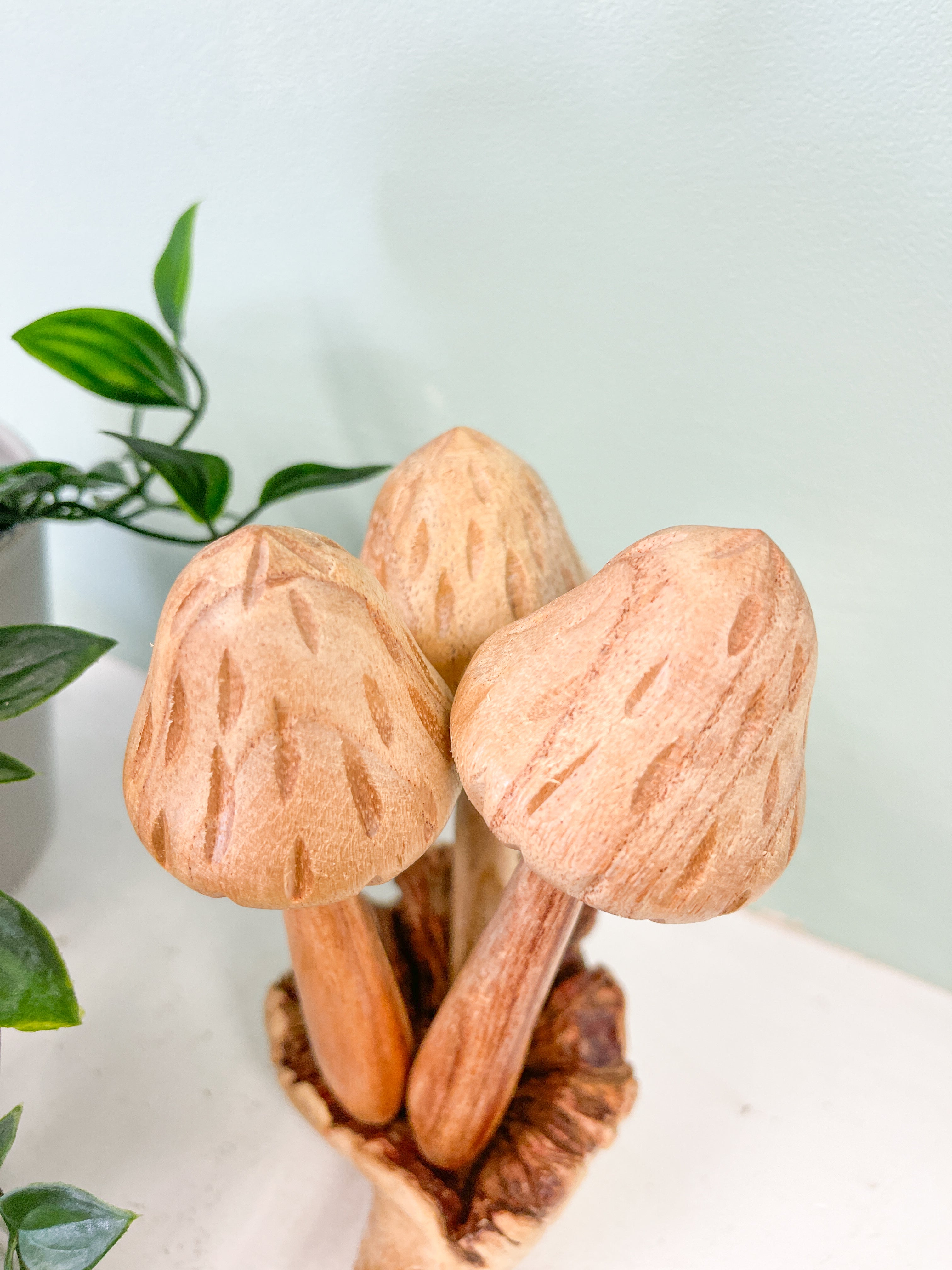 Wooden Morel Mushrooms Group of 3 on Parasite Wood