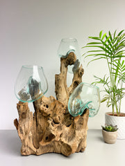 Coffee Root with 3 x Glass Bowls