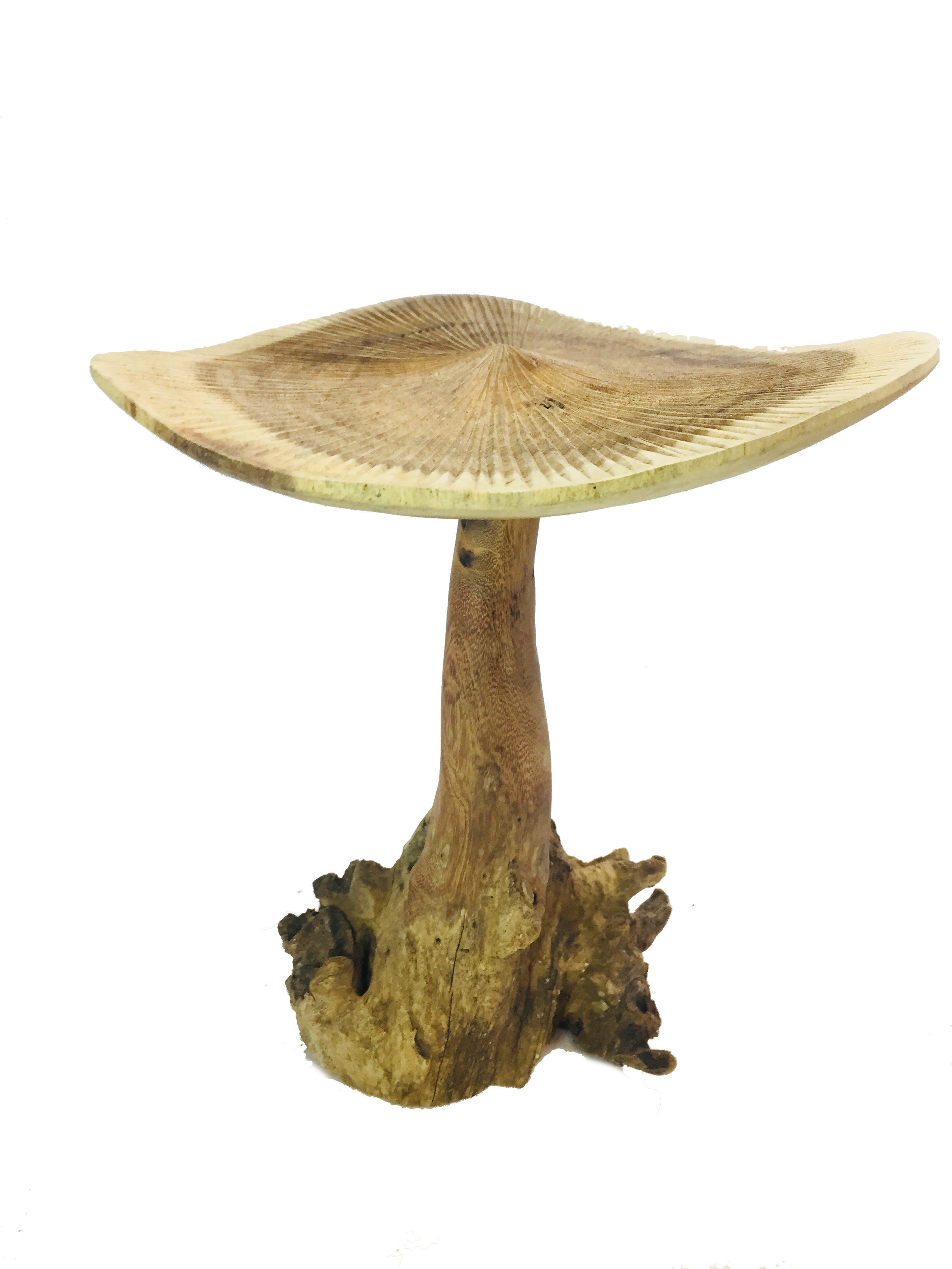 Two Tone Mushroom - Double