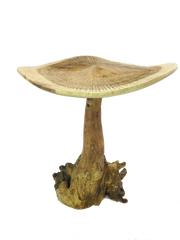 Two Tone Mushroom - Double