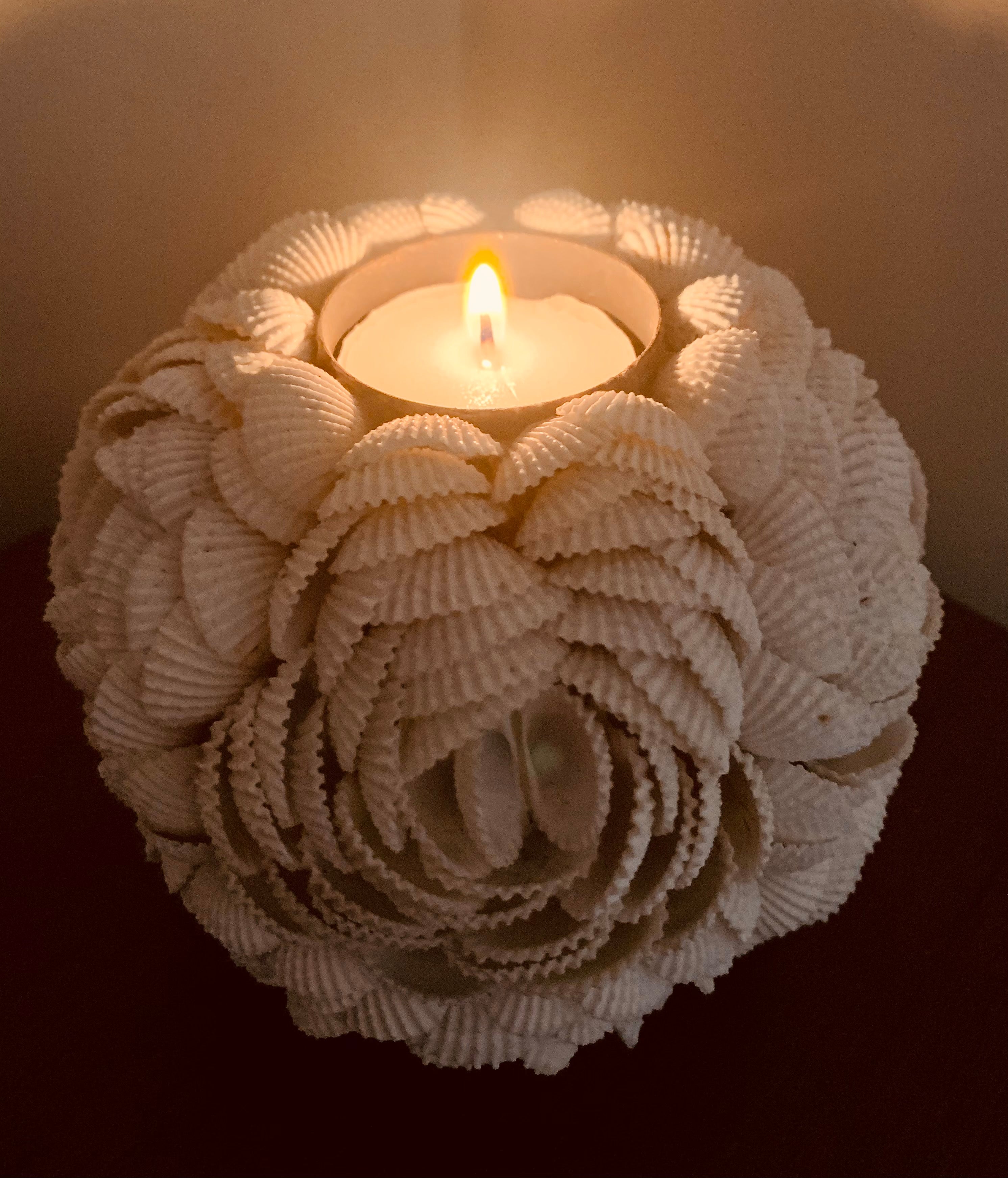 Shell Candle Container Shell Candle Holder – My Family House