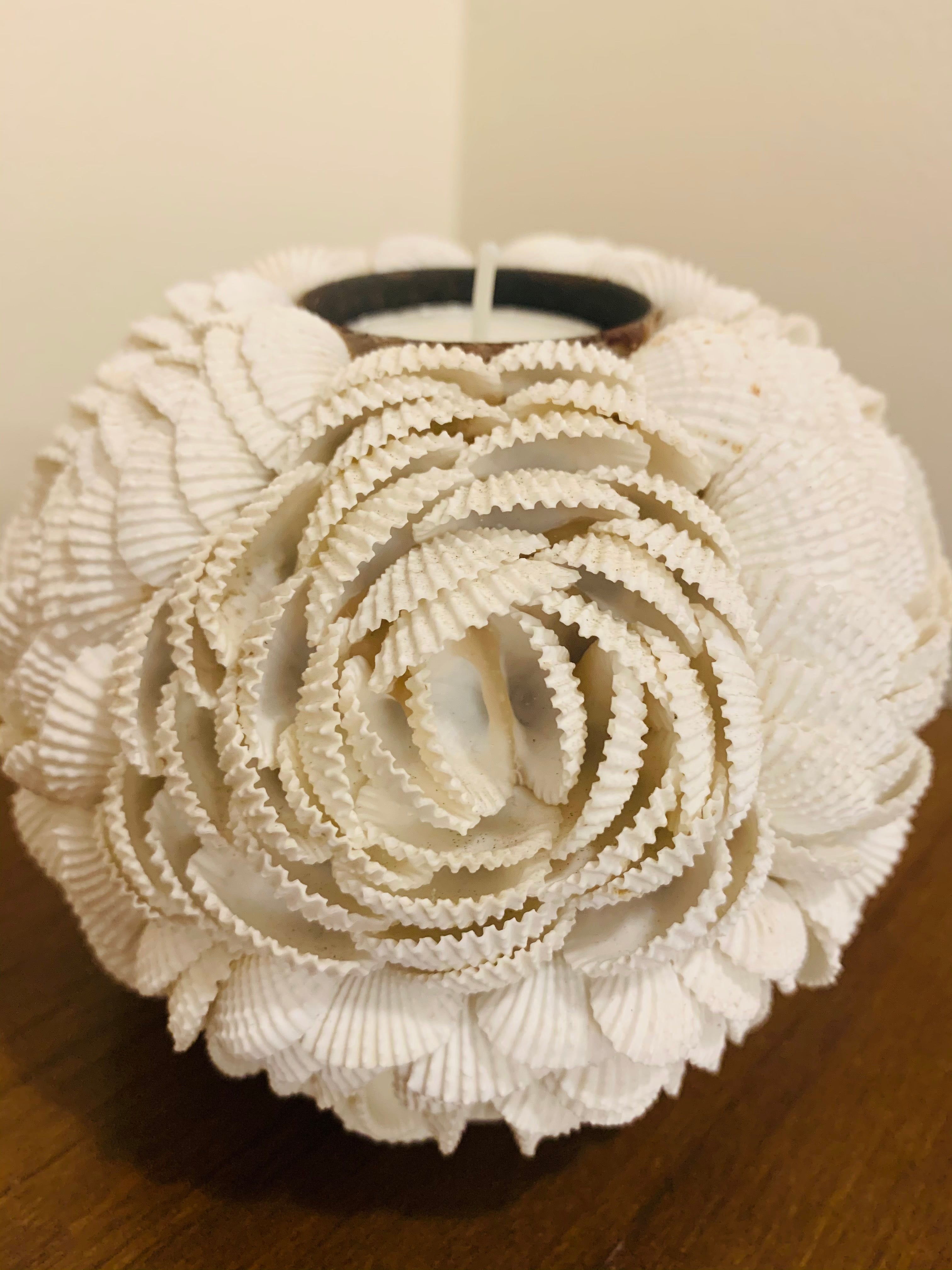 Shell Candle Holder