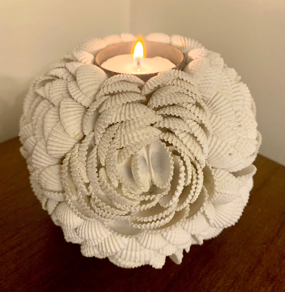 Shell Candle Container Shell Candle Holder – My Family House