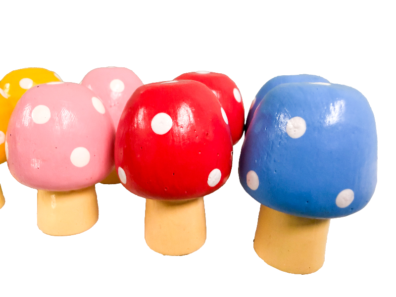 Wooden Mushrooms Assorted Colours - Set of Ten