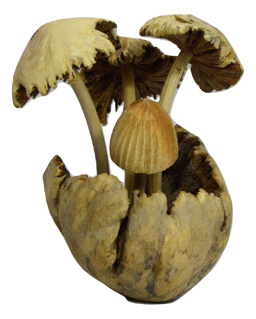 Parasite 4 Mushrooms Statue - 16cm