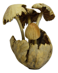 Parasite 4 Mushrooms Statue - 16cm